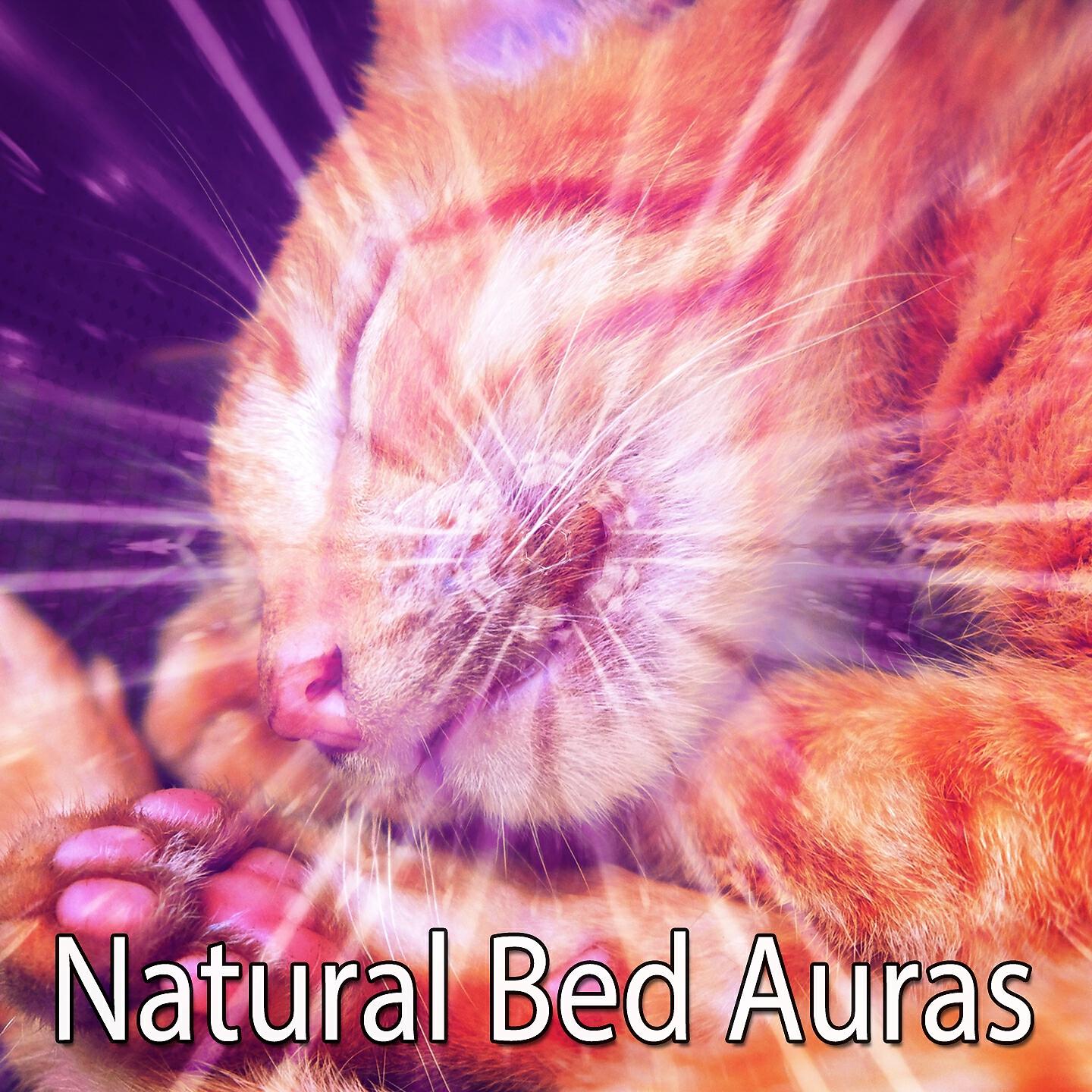 Релиз Natural Bed Auras