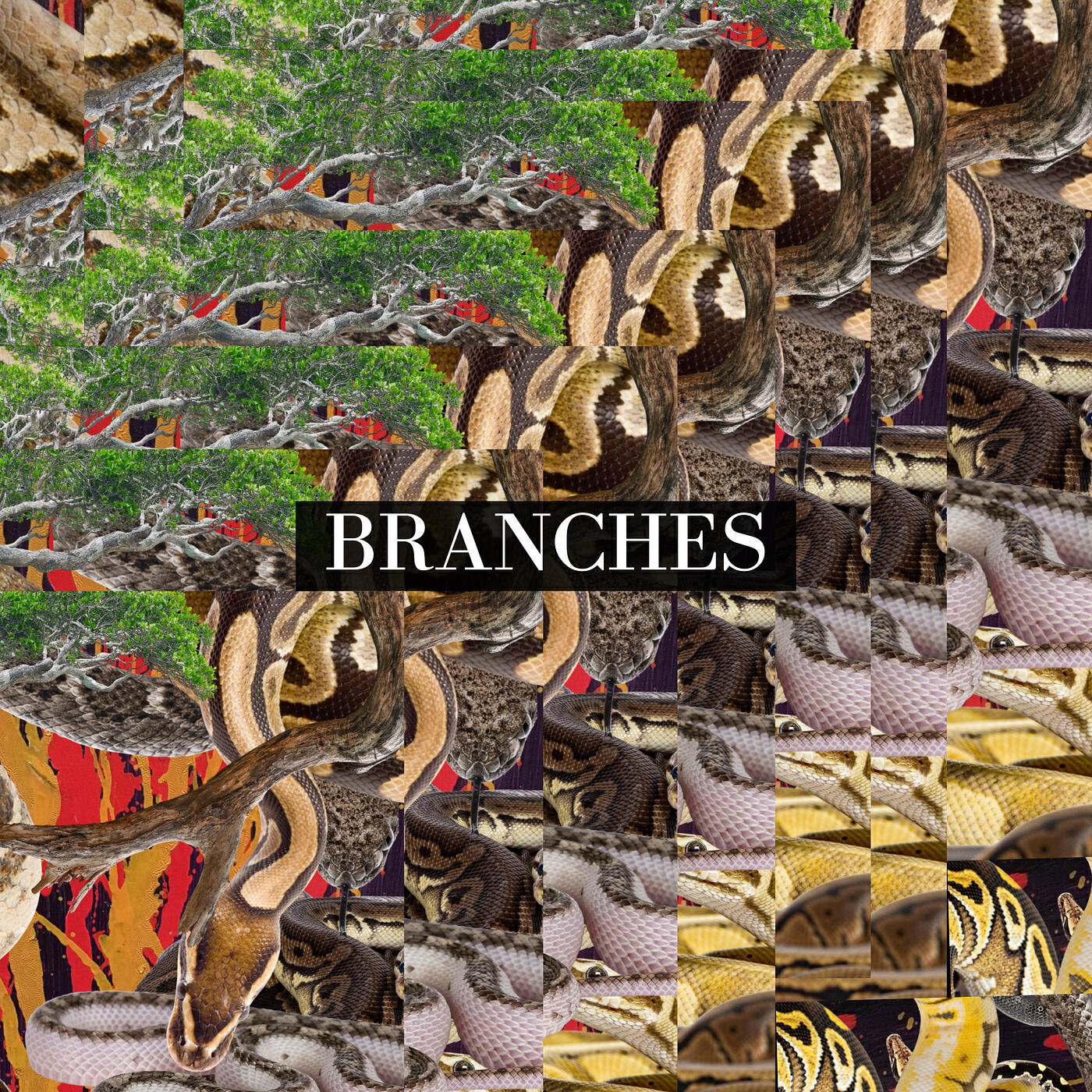 Релиз Branches