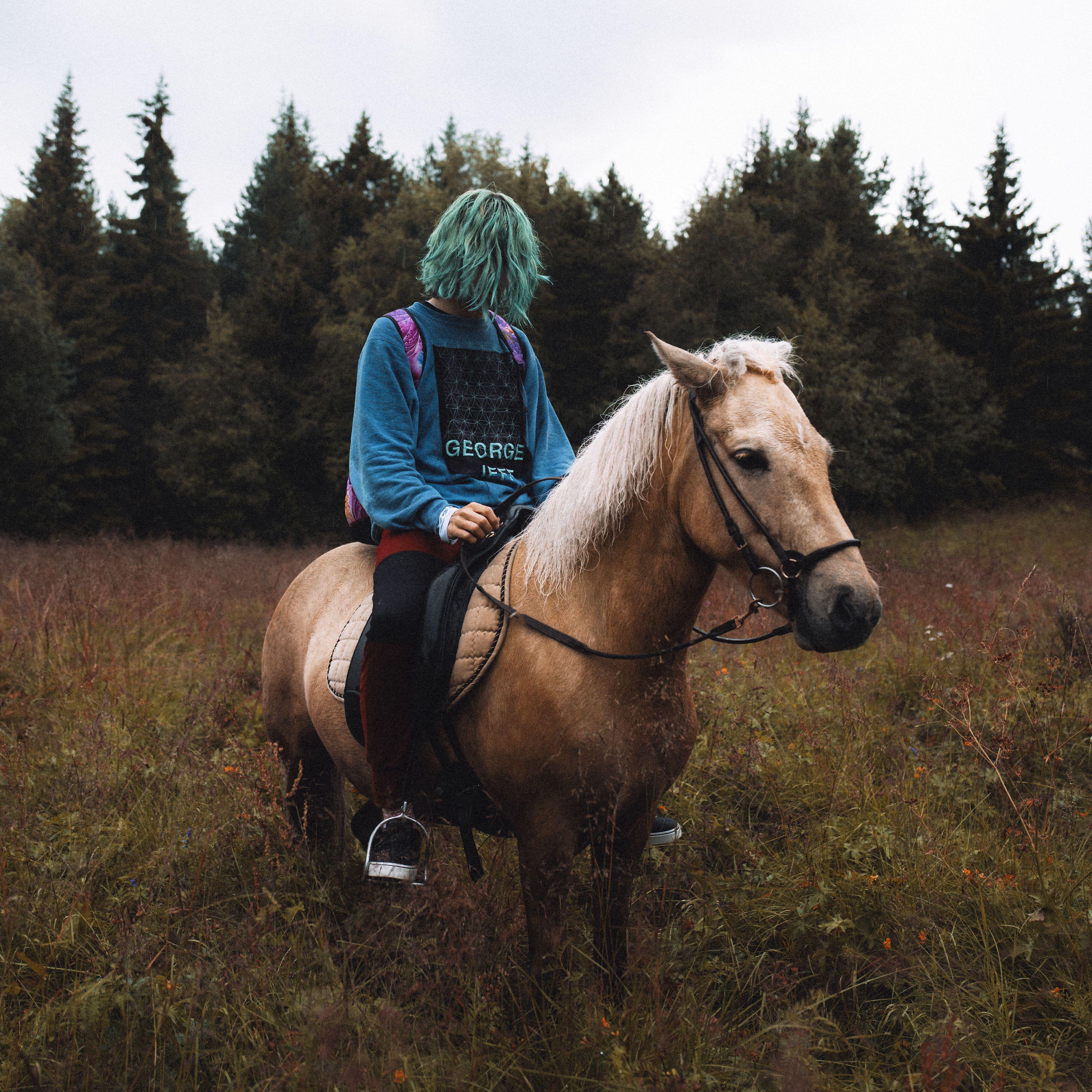 Релиз Forest Wind