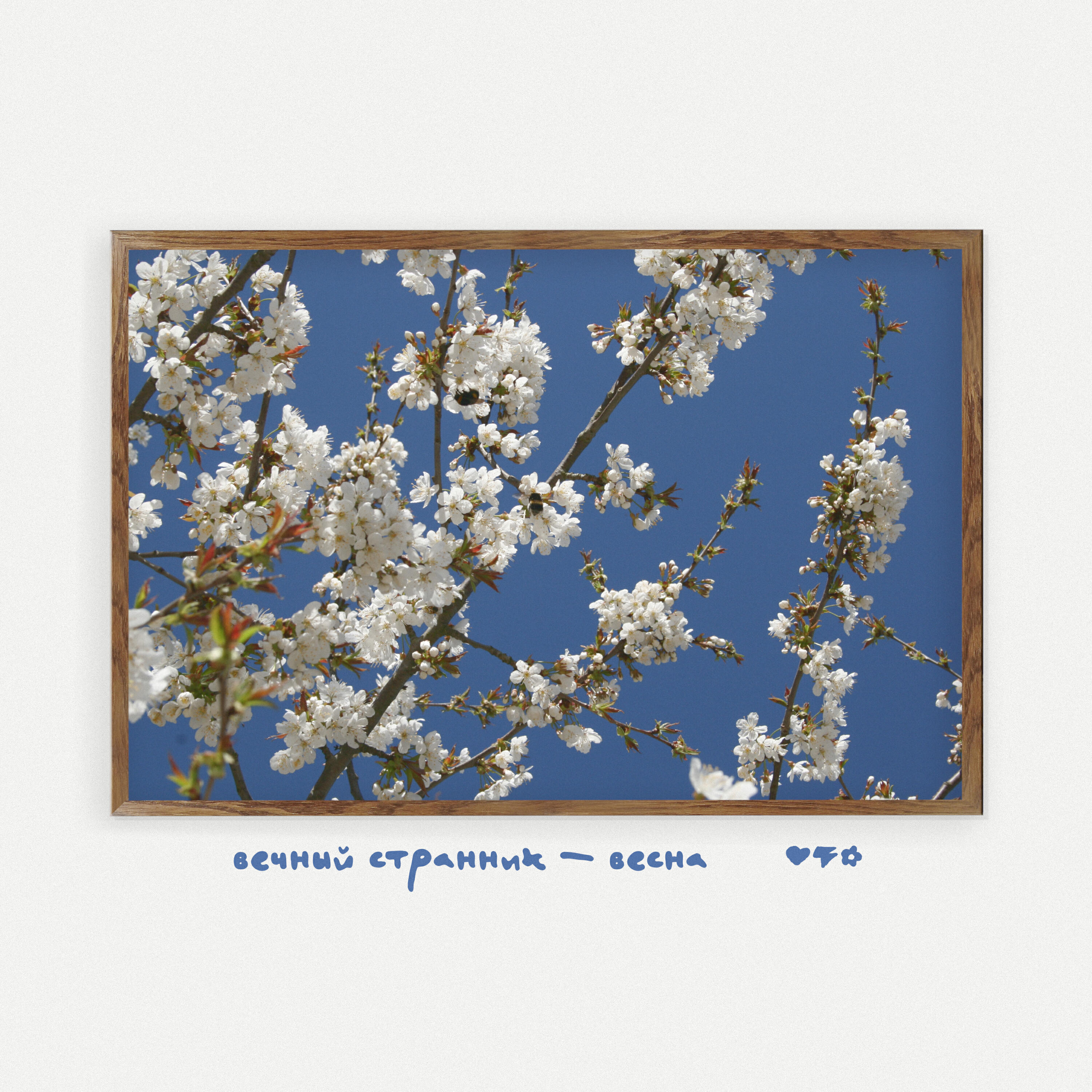 Релиз Весна