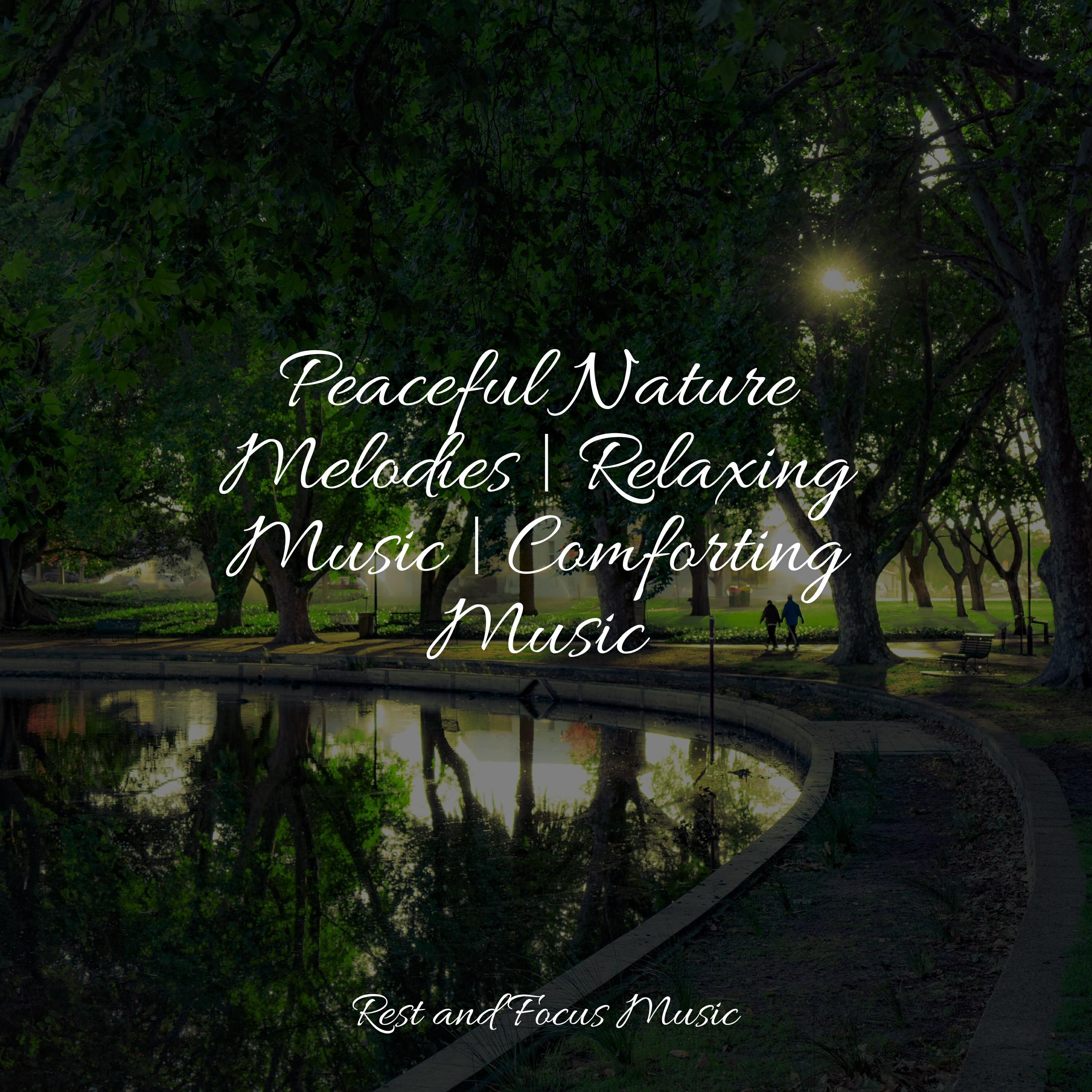 Релиз Peaceful Nature Melodies | Relaxing Music | Comforting Music