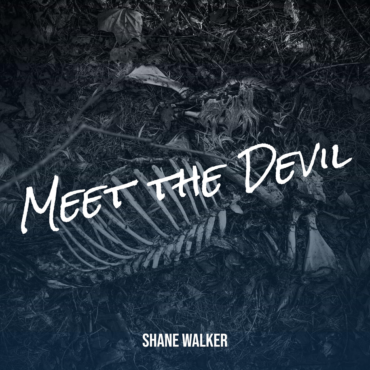 Релиз Meet the Devil