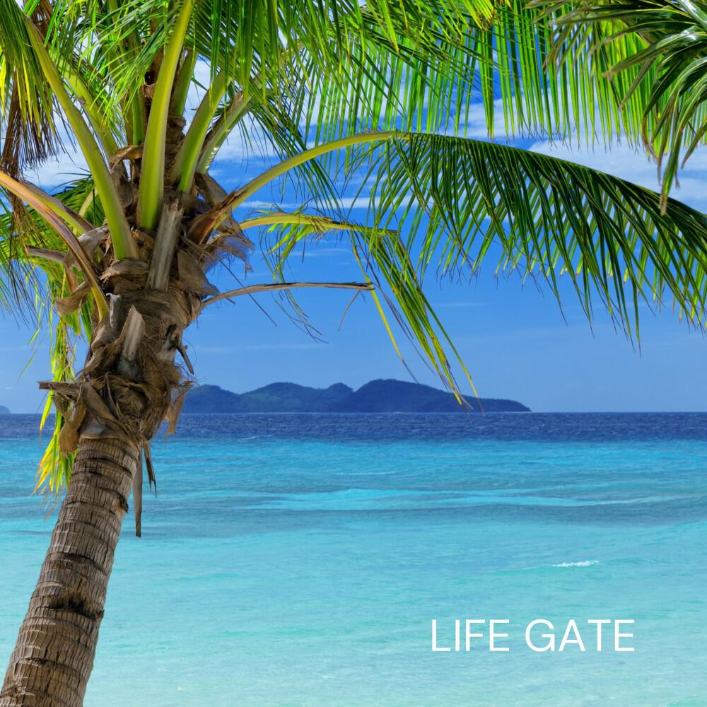 Релиз Life Gate: Lounge House Playlist