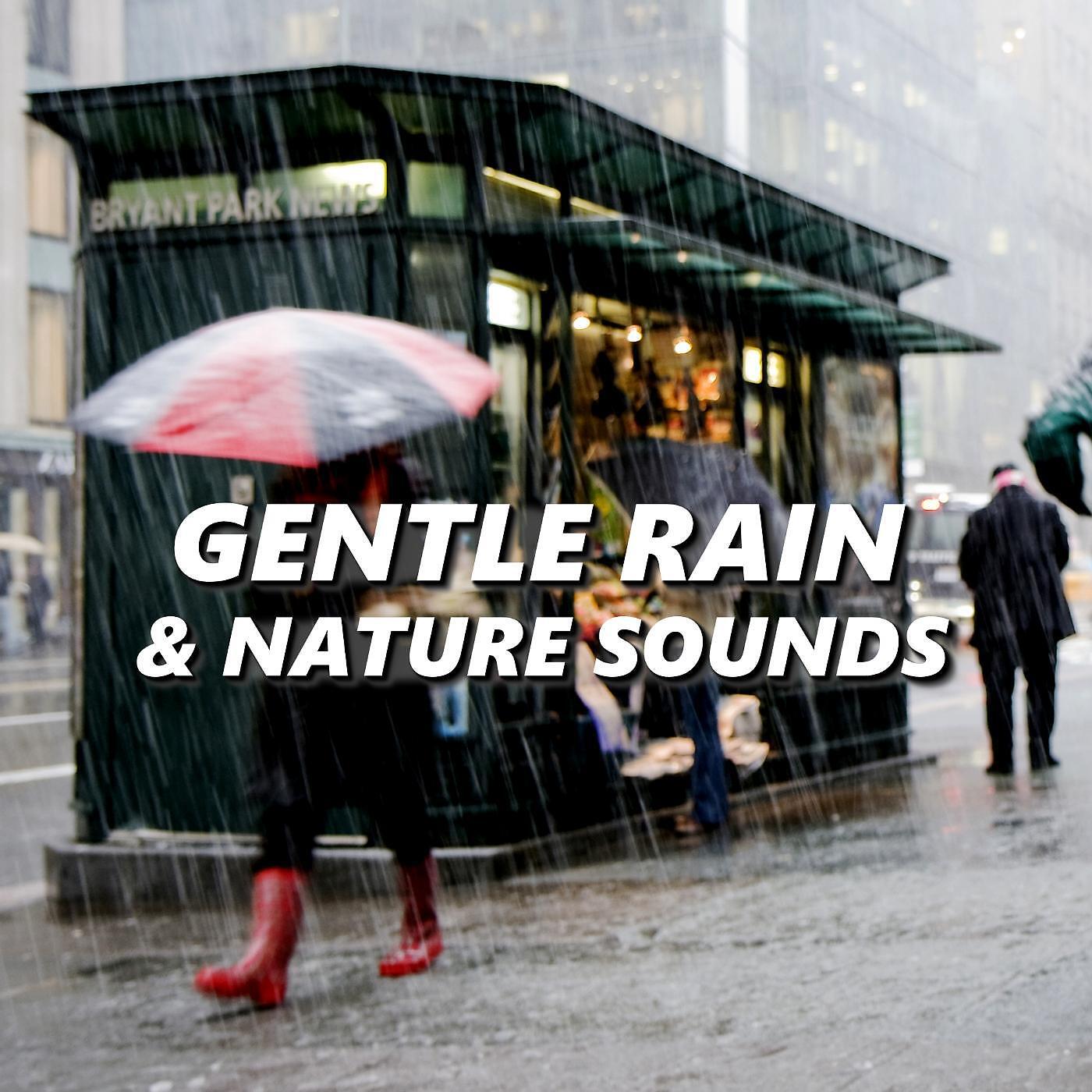 Релиз Gentle Rain & Nature Sounds