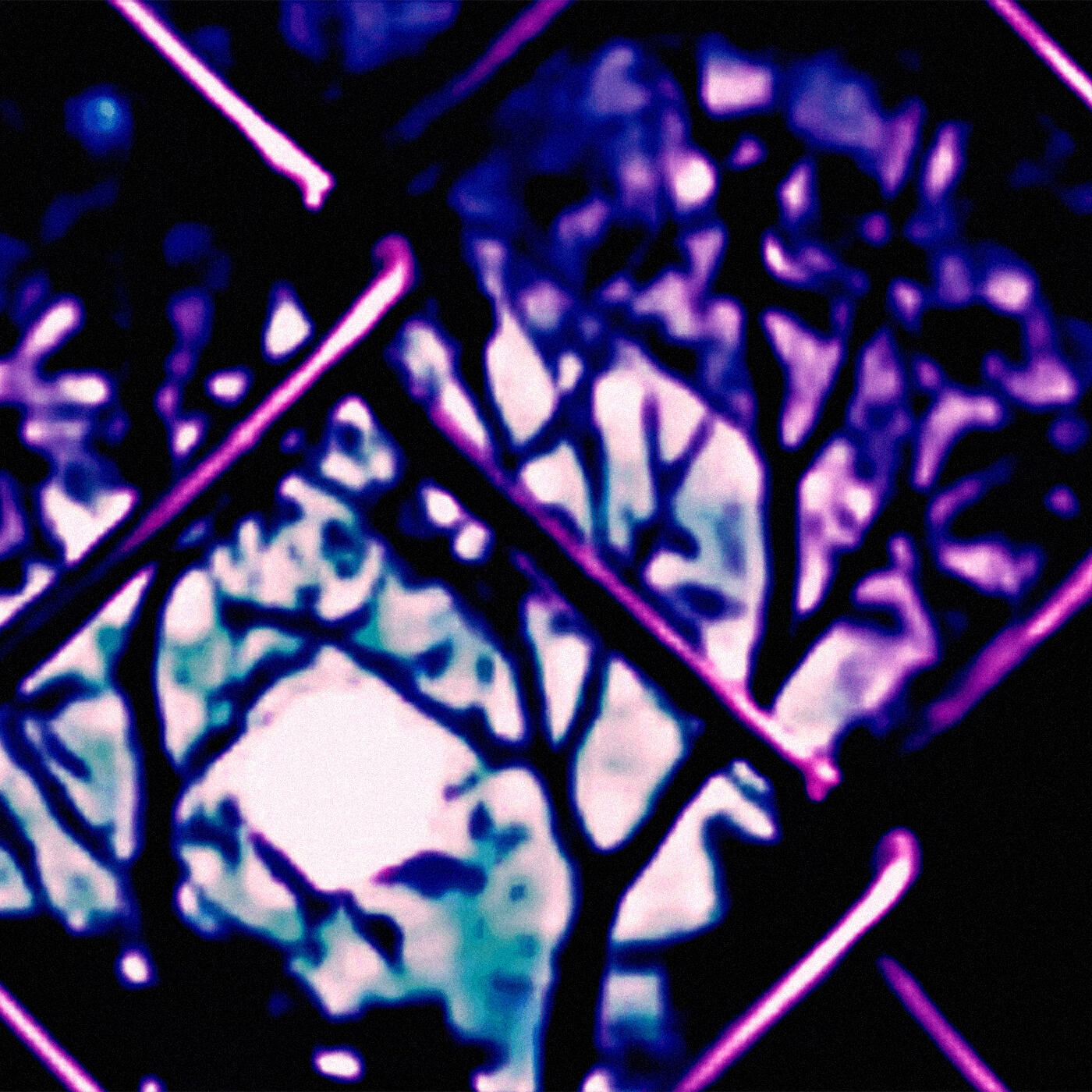 Релиз wutiwant (Sped Up & Slowed Versions)