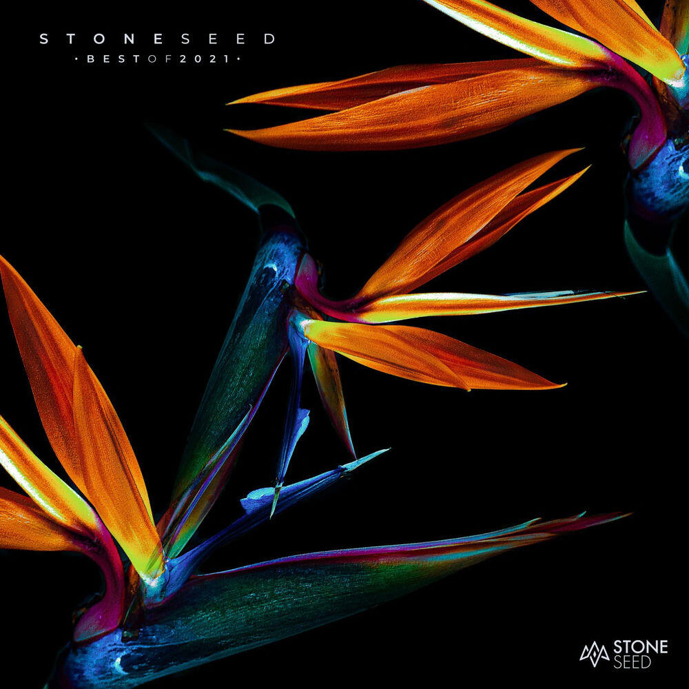 Релиз Stone Seed - Best of 2021