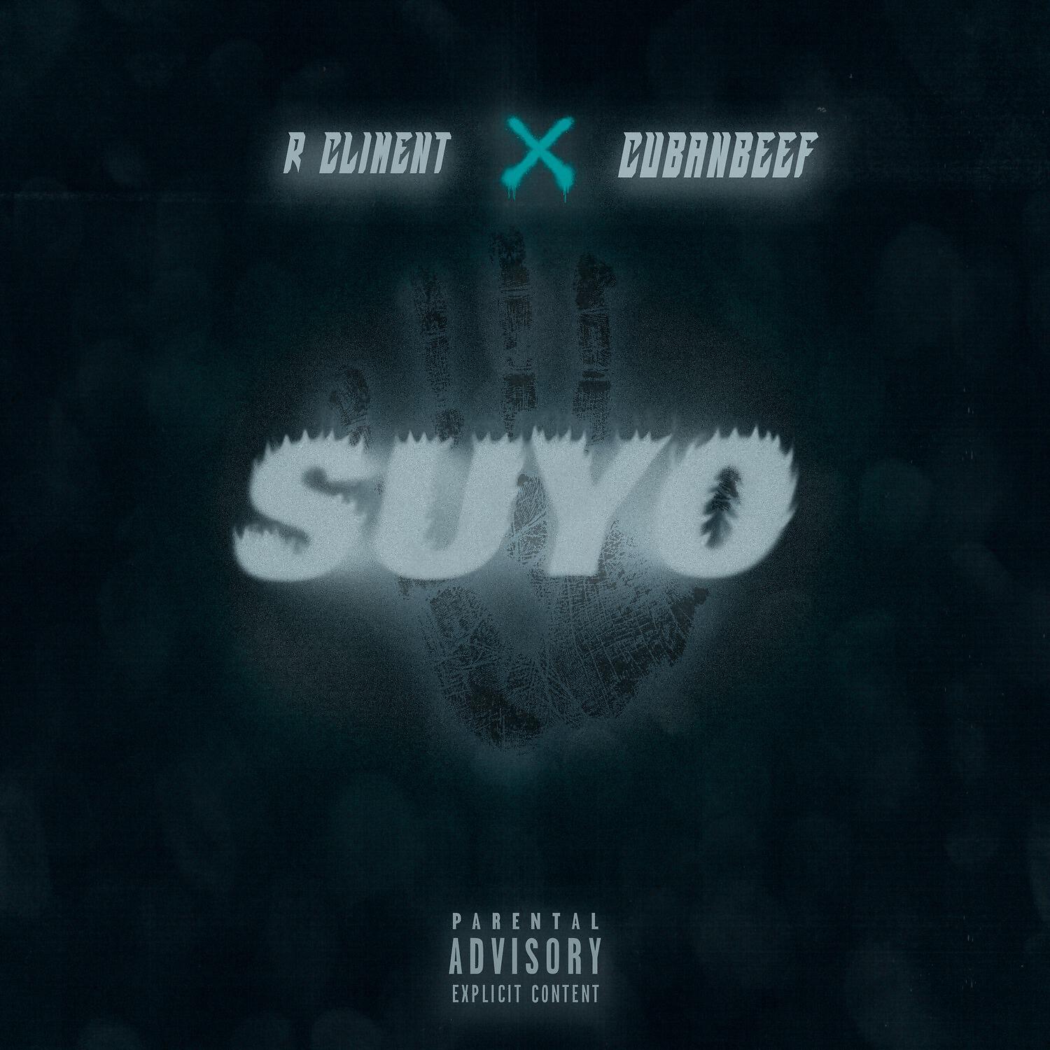 Релиз Suyo