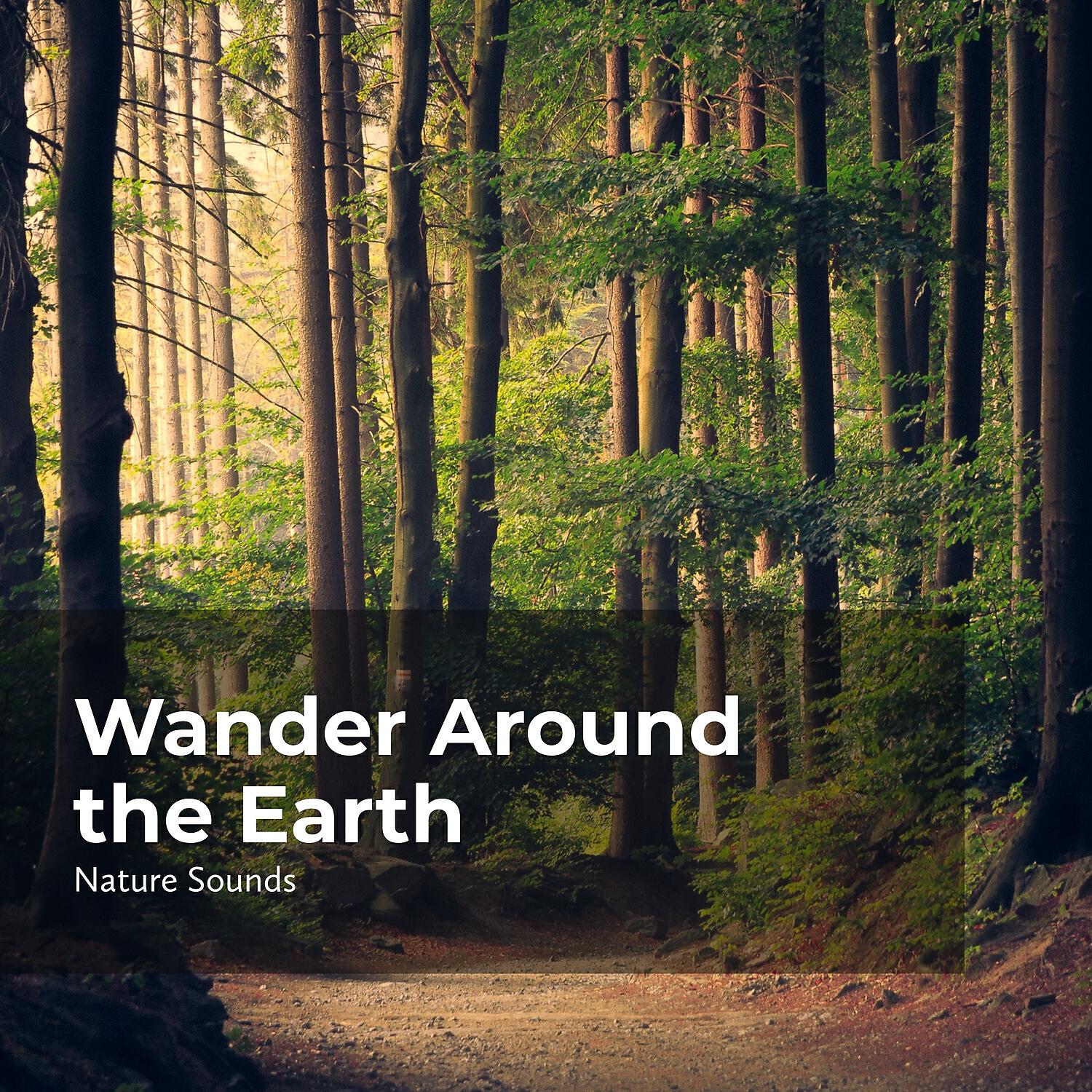 Релиз Wander Around the Earth