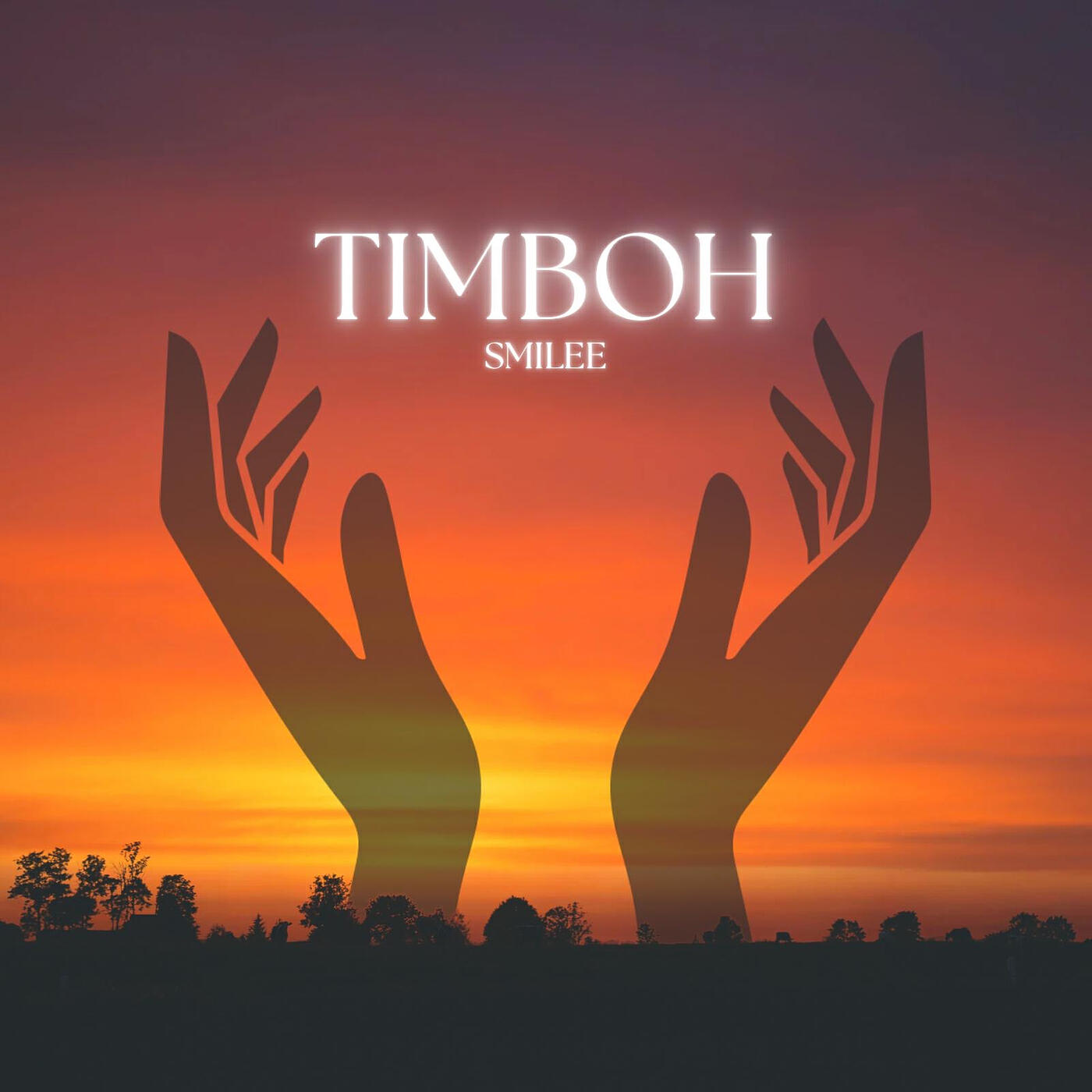Релиз Timboh