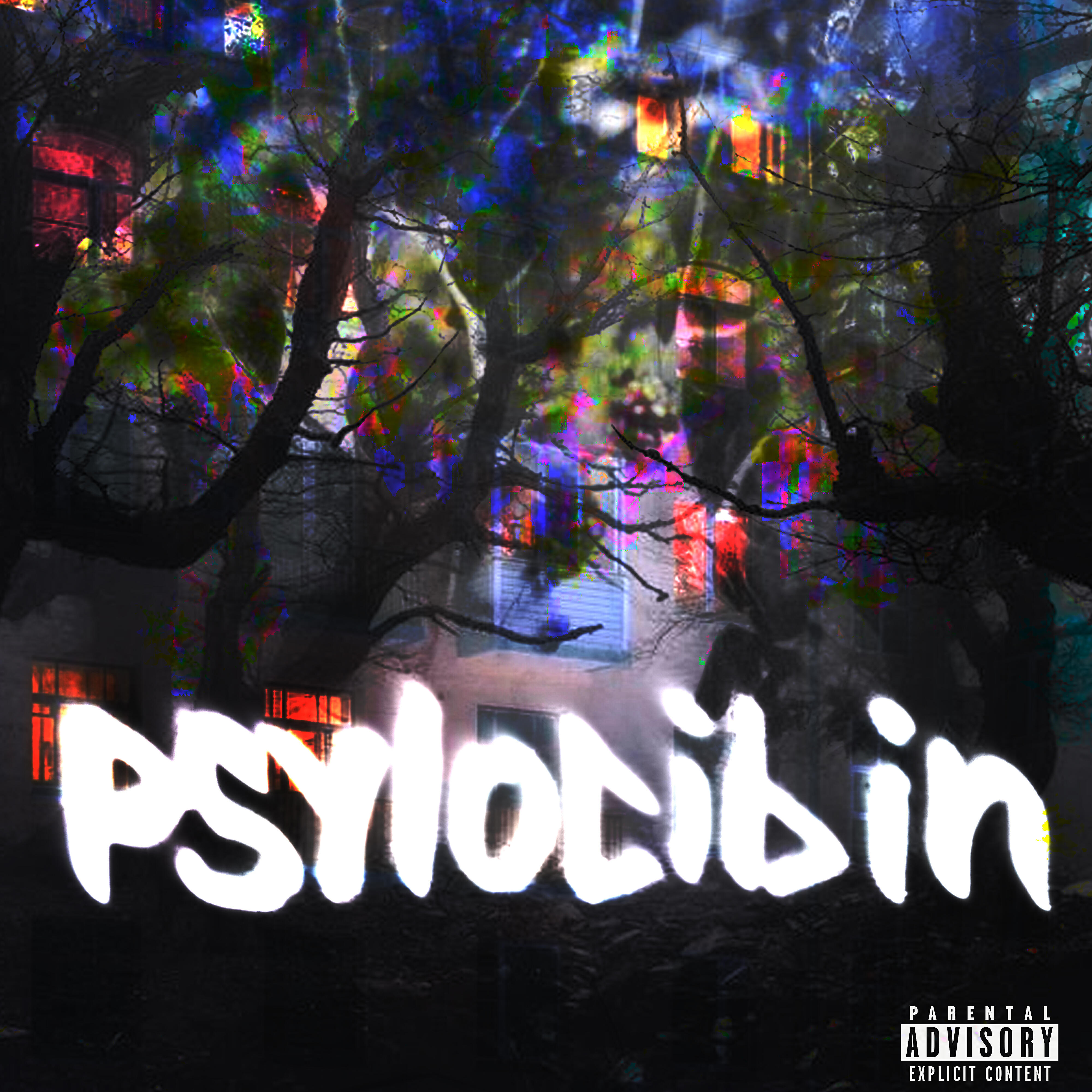Релиз Psylocibin