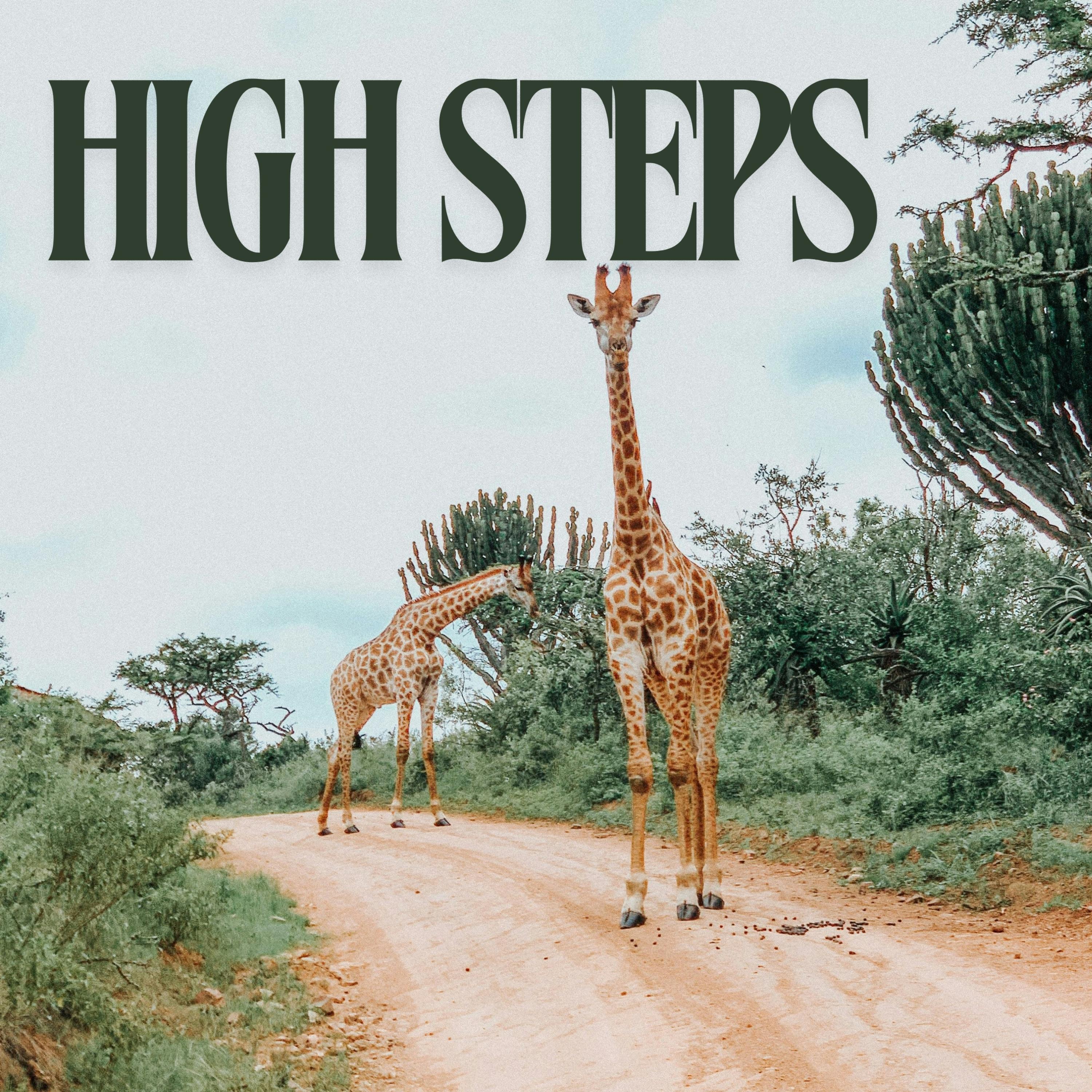 Релиз High Steps