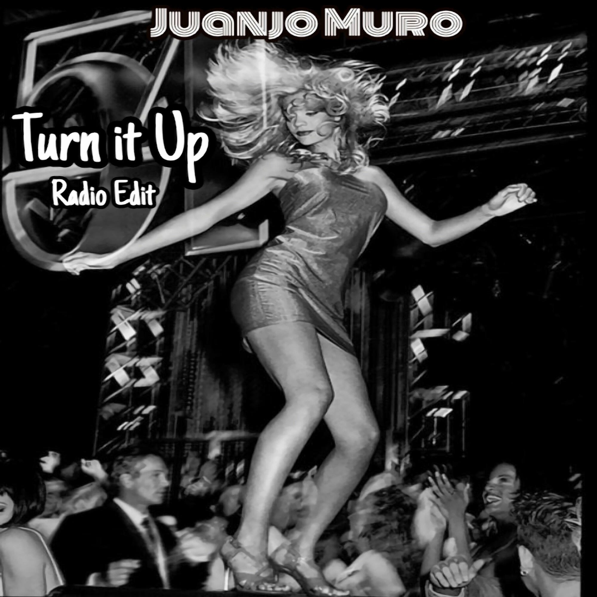 Релиз Turn it Up (Radio Edit)