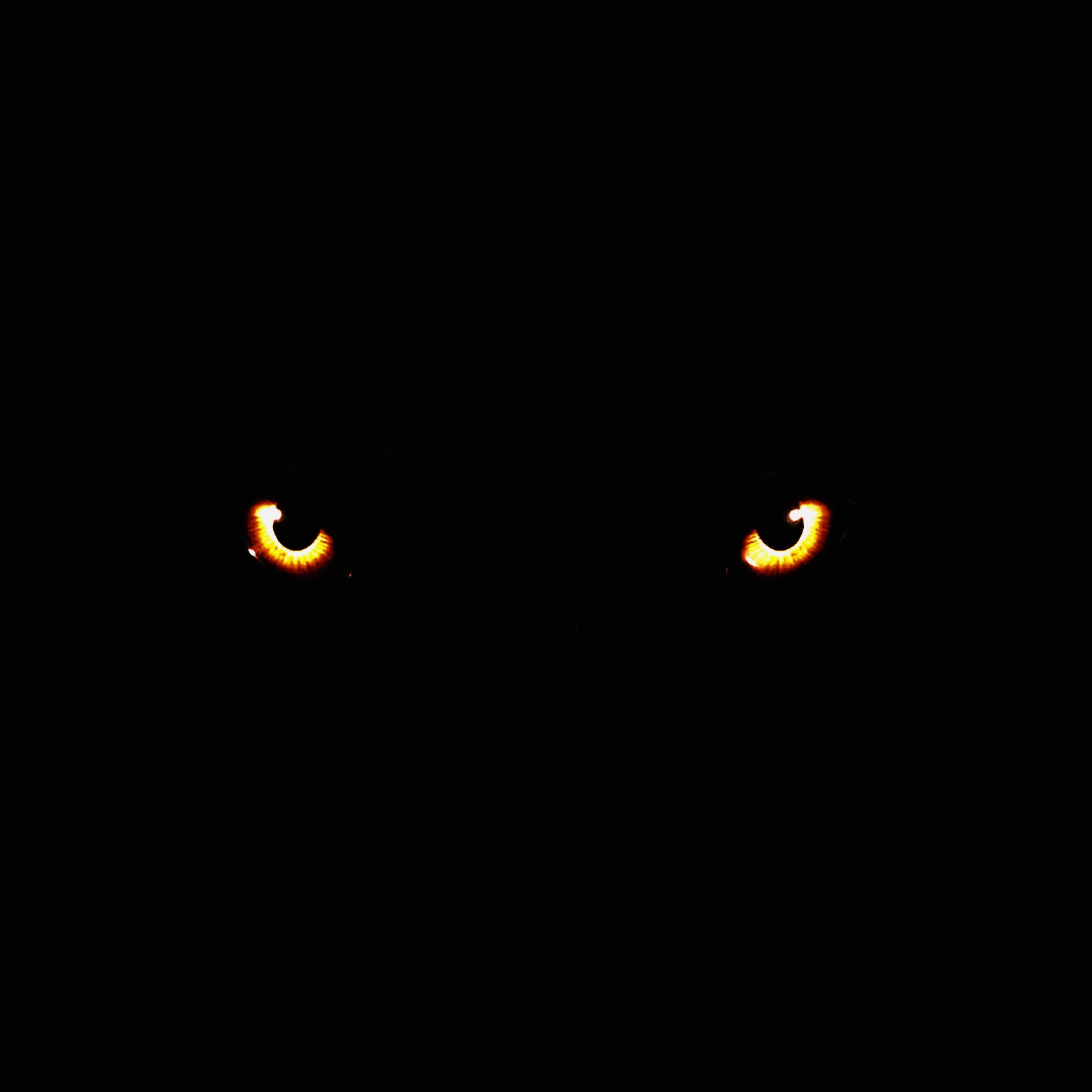 Релиз Demon