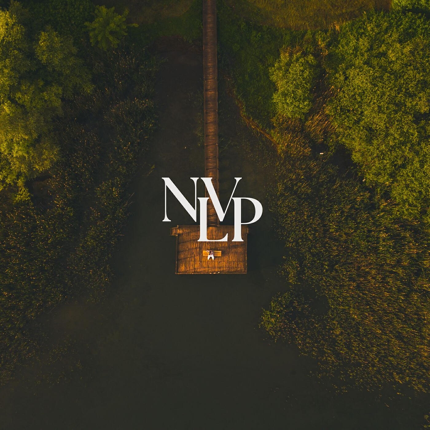 Релиз NVLP