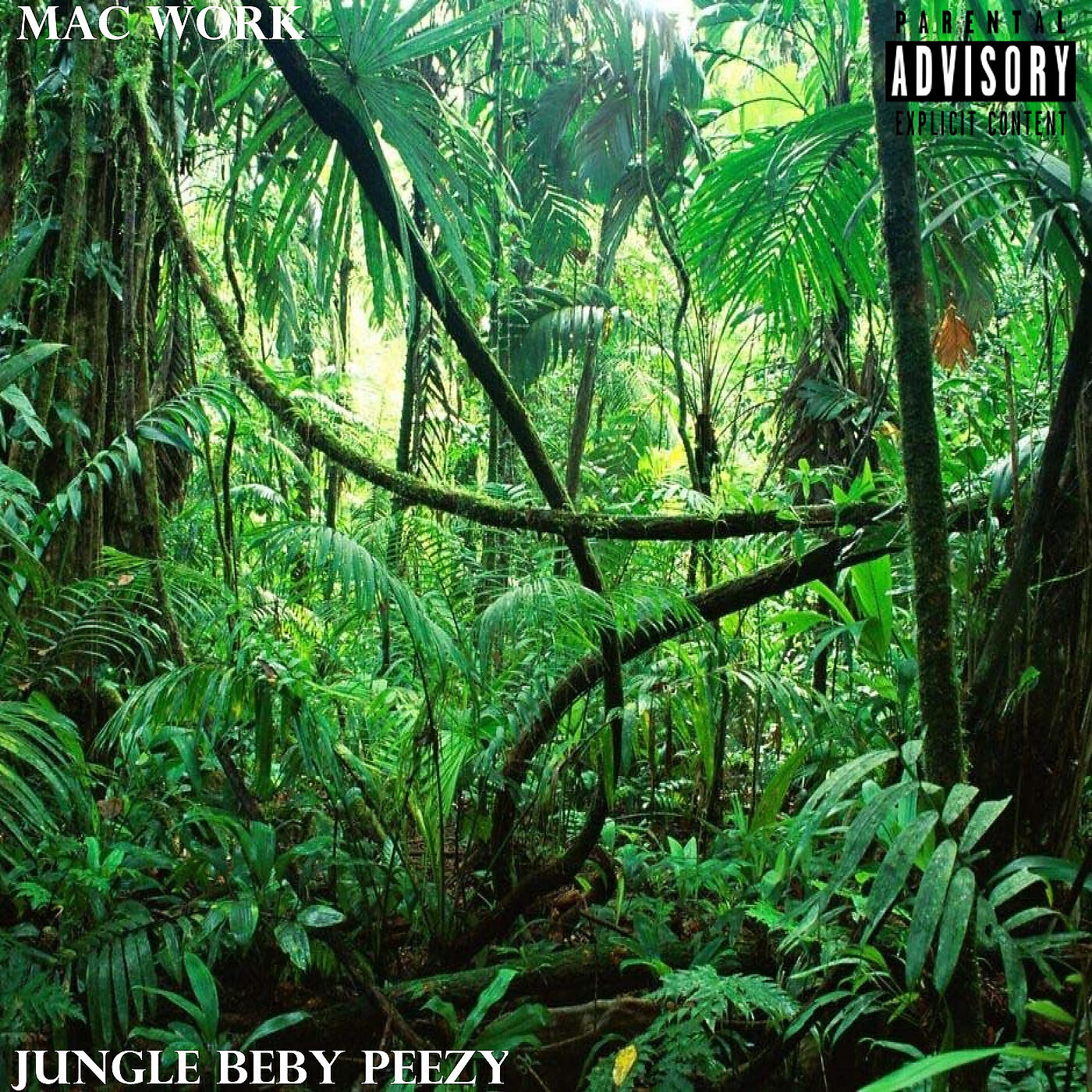 Mac Work все песни в mp3