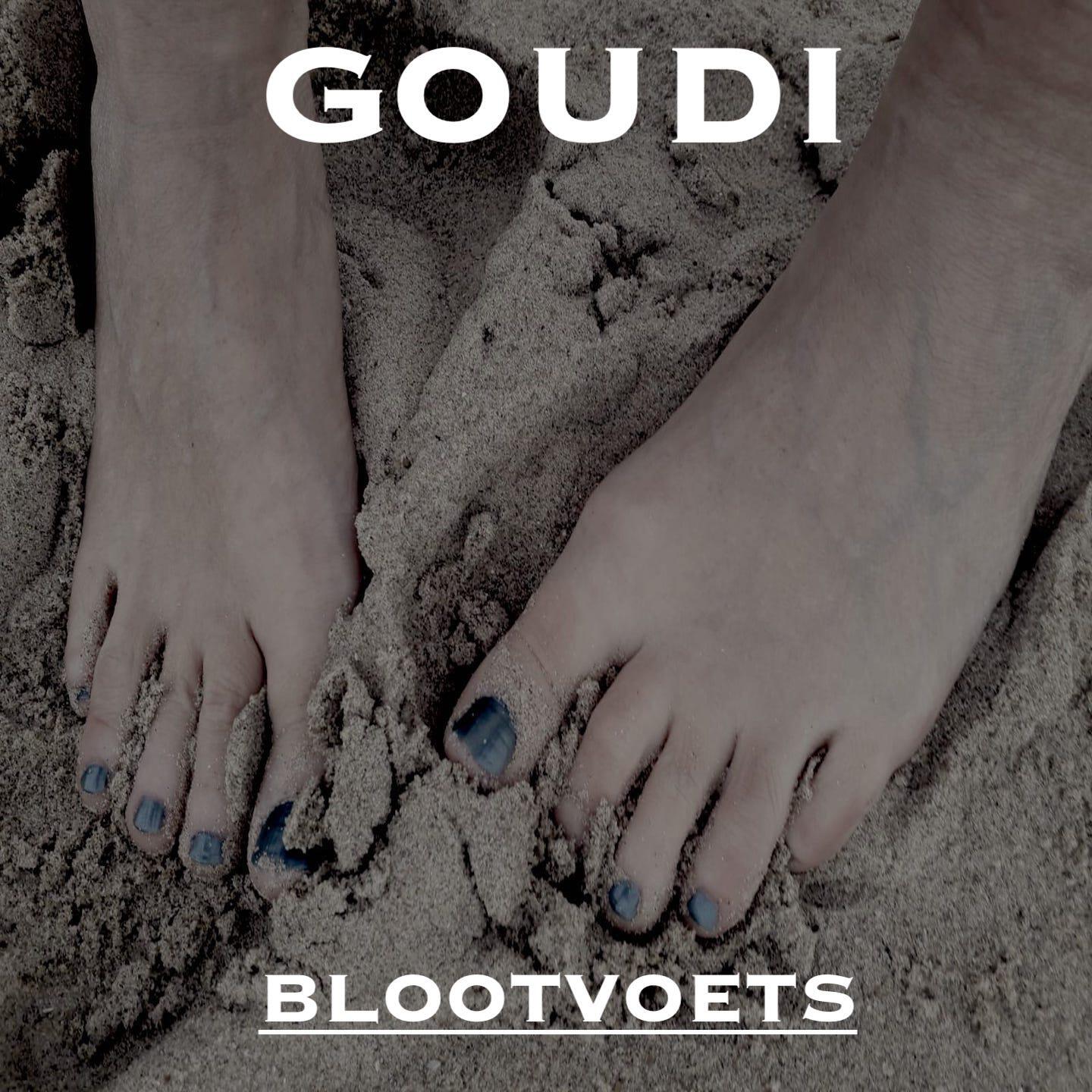 Релиз Blootvoets