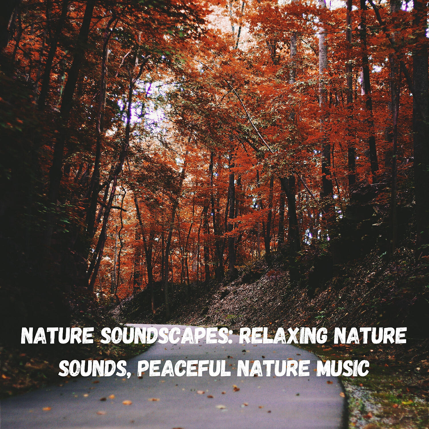 Релиз Nature Soundscapes: Relaxing Nature Sounds, Peaceful Nature Music