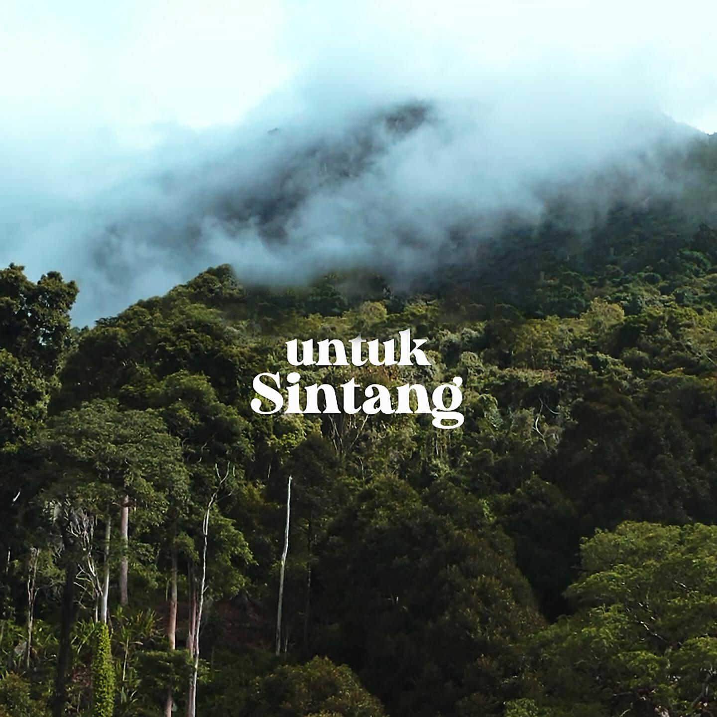 Релиз Untuk Sintang