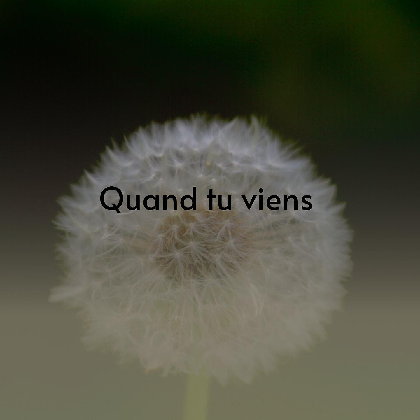 Релиз Quand Tu Viens