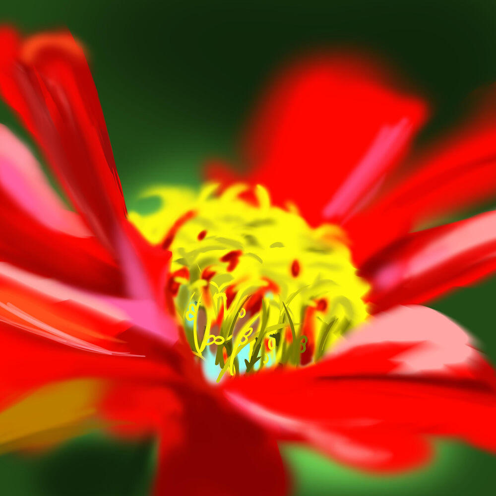 Релиз Wildflower