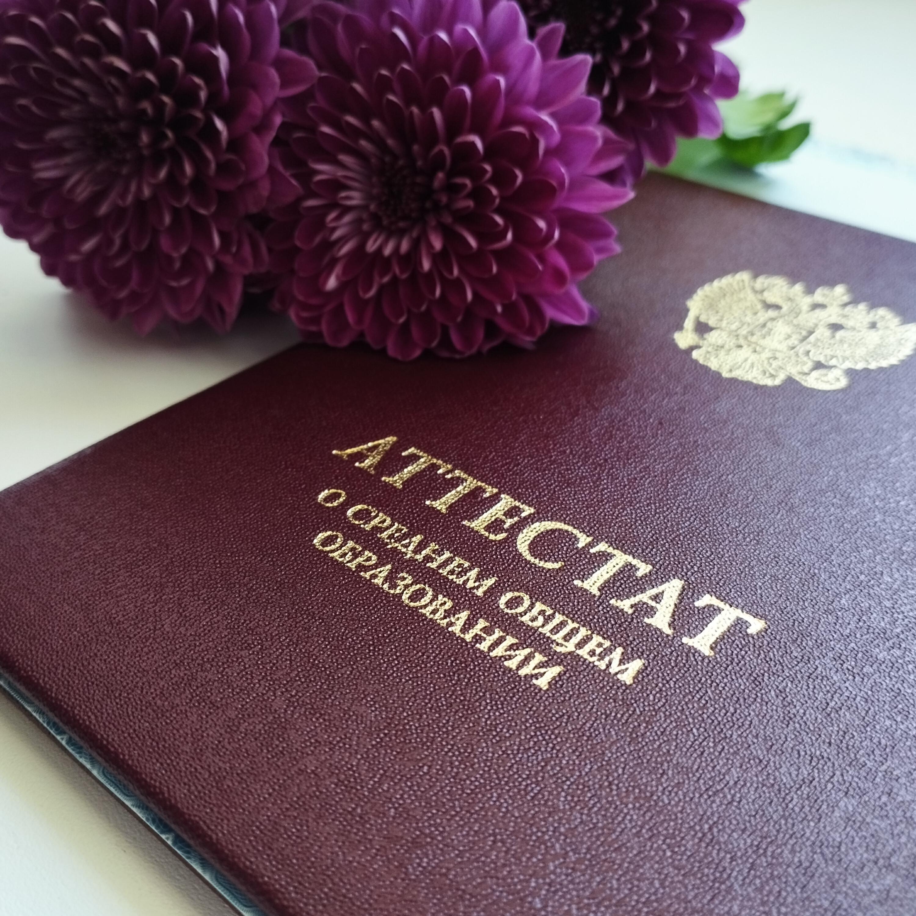 Постер альбома Ксения