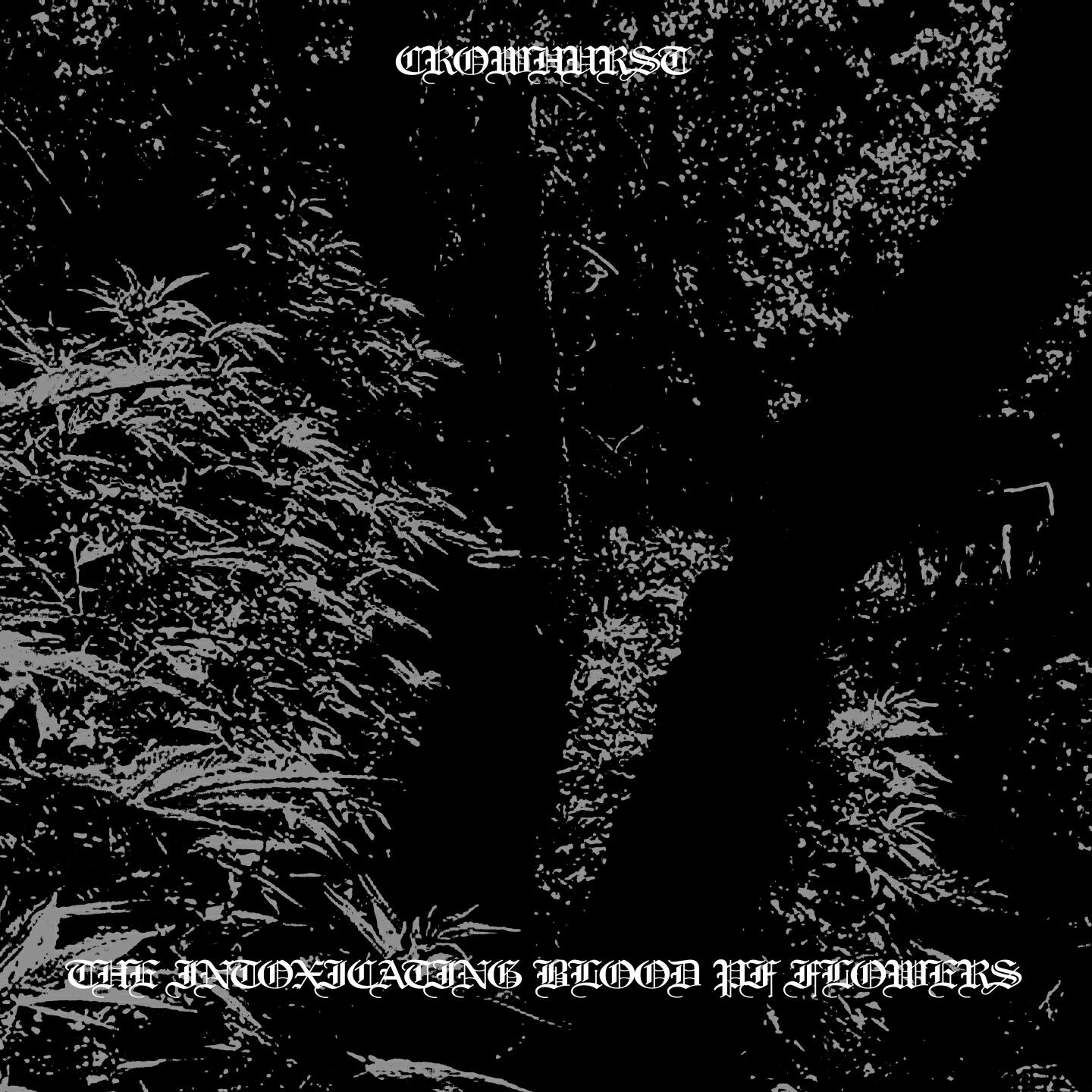 Релиз The Intoxicating Blood of Flowers