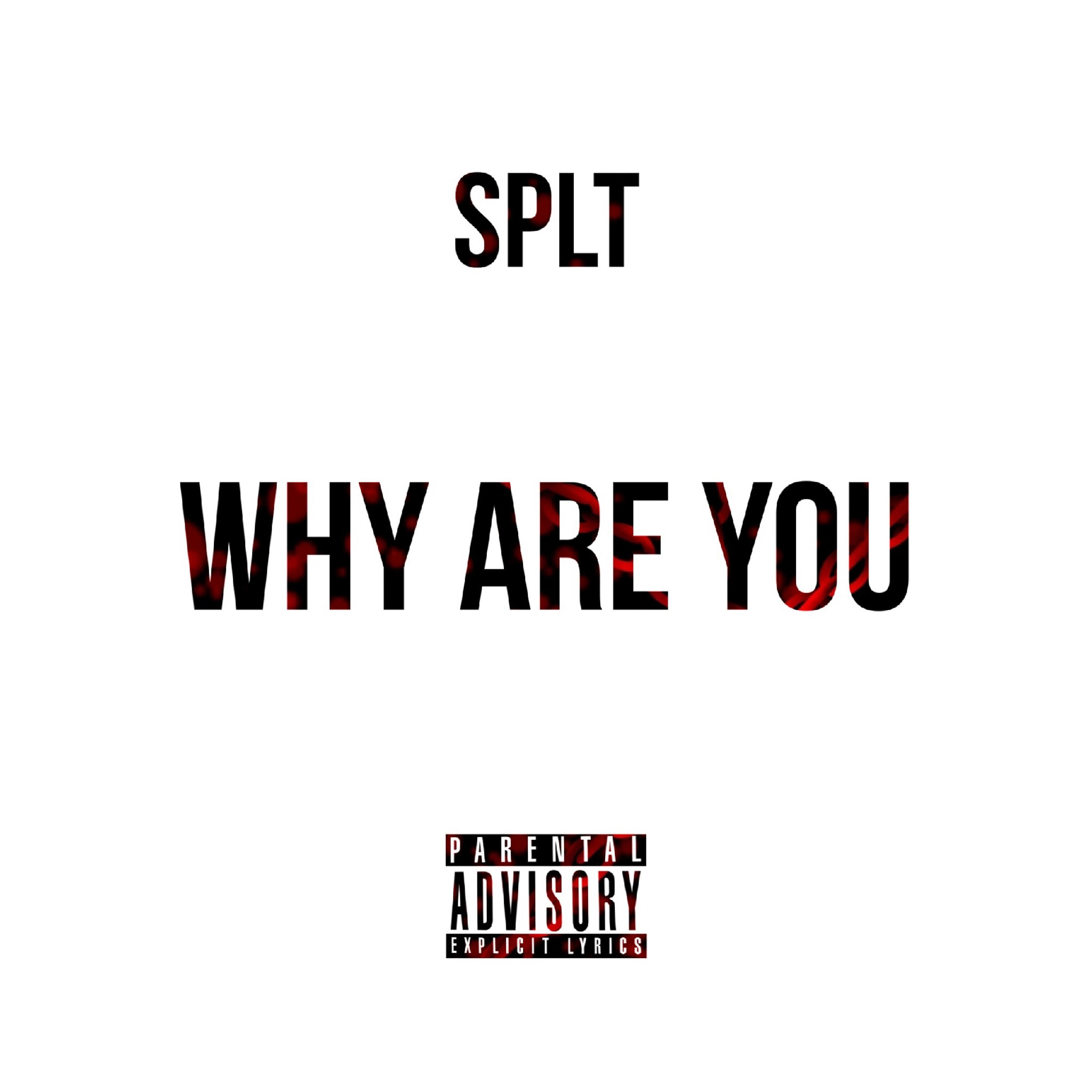 Релиз Why Are You