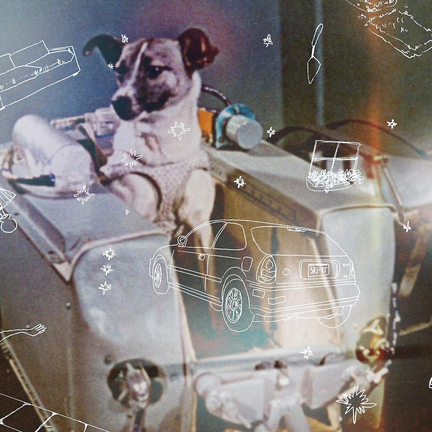 Релиз Laika