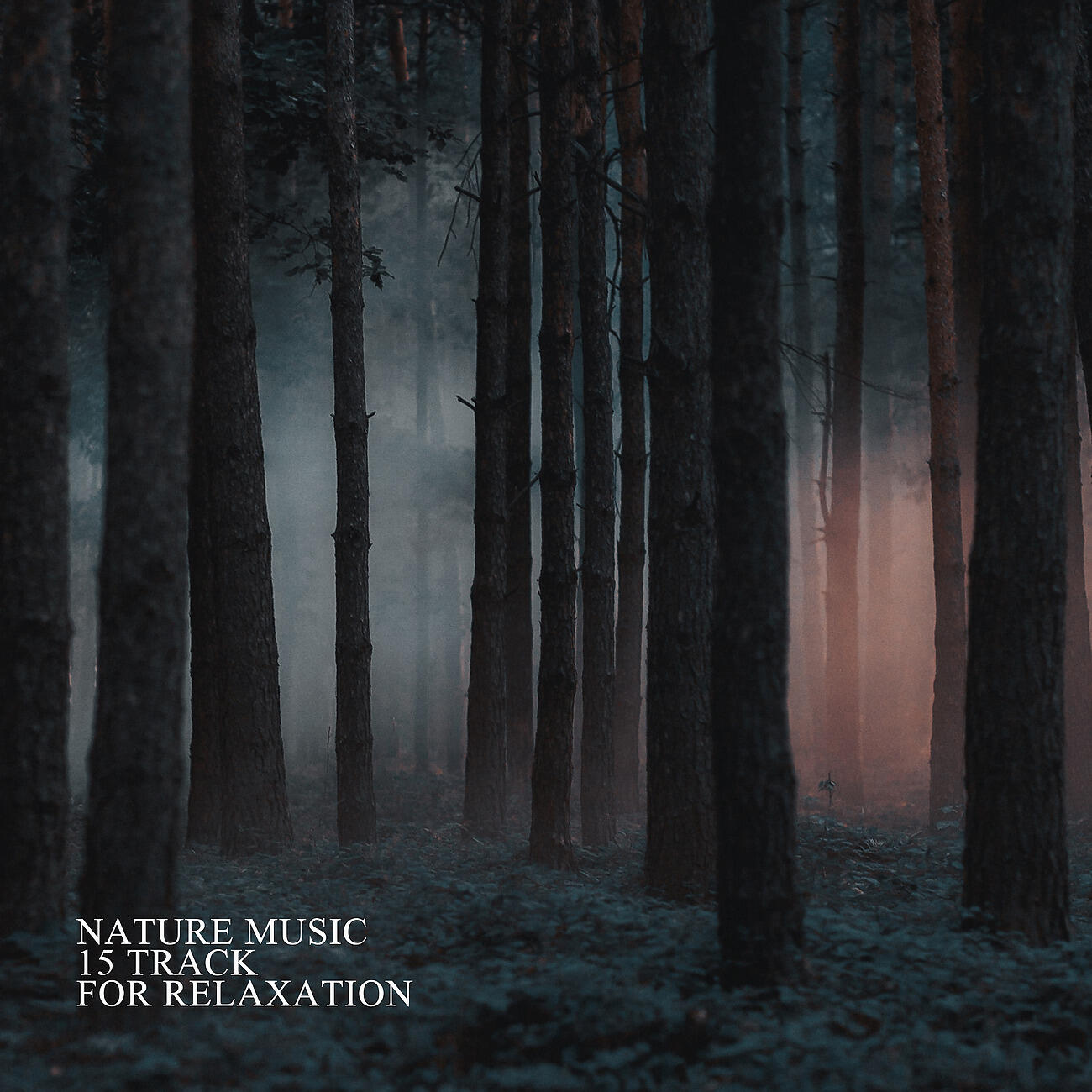 Релиз Nature Music