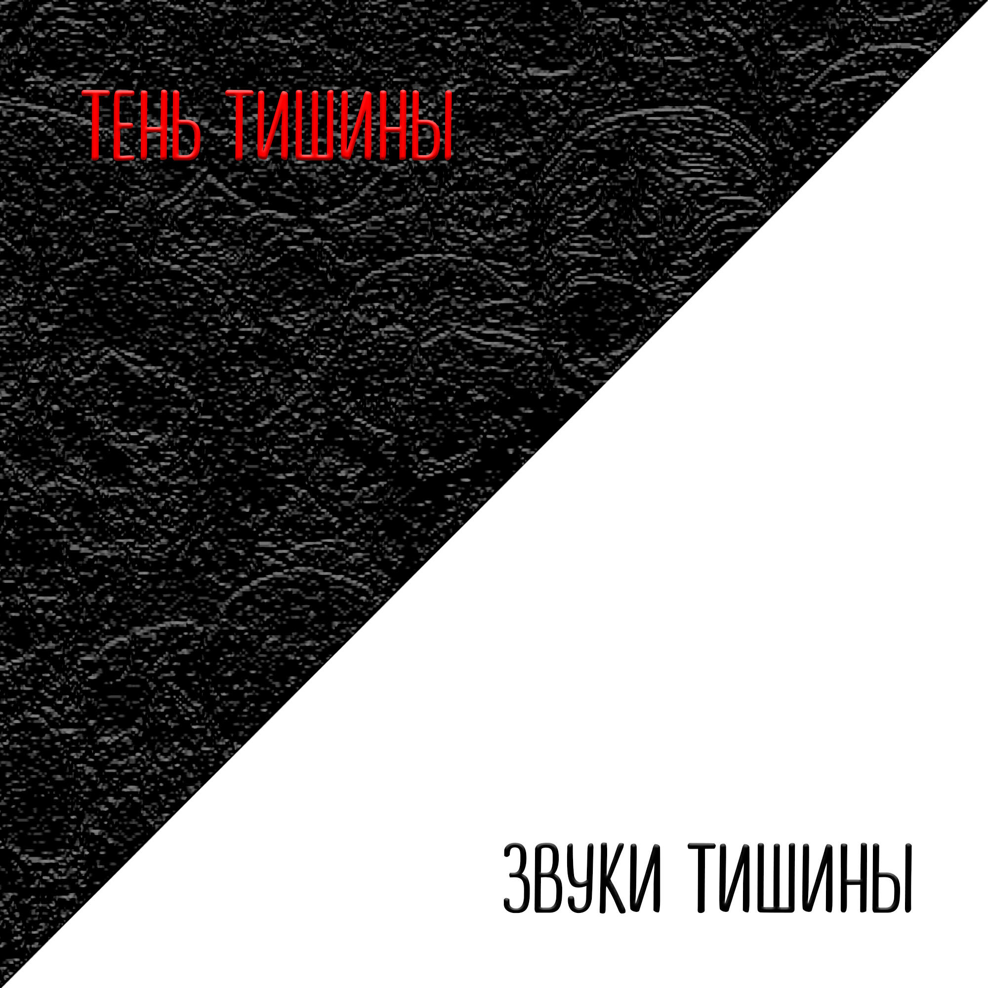 Постер альбома Тень тишины