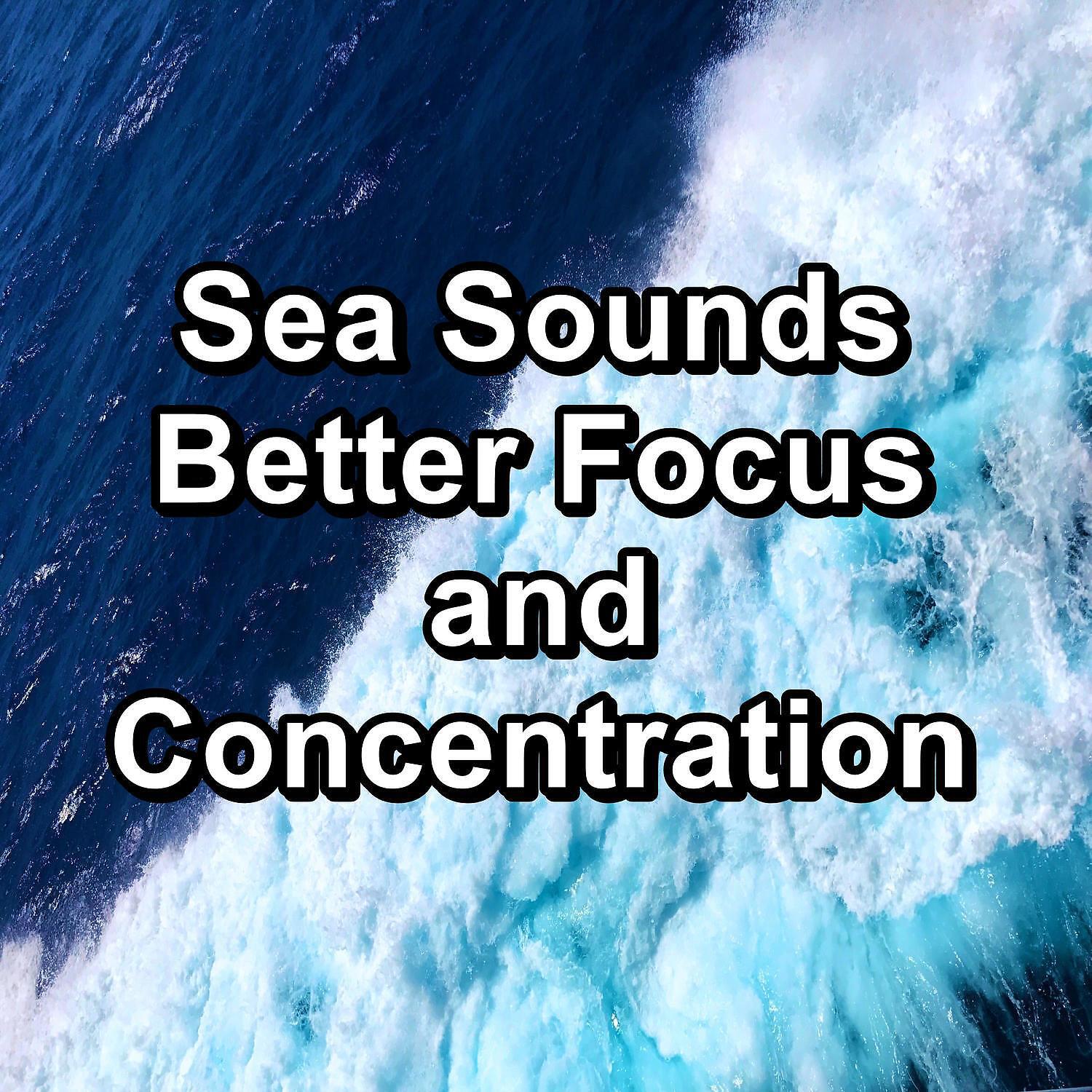 Релиз Sea Sounds Better Focus and Concentration