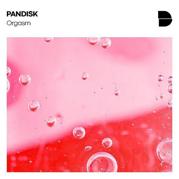 PANDISK