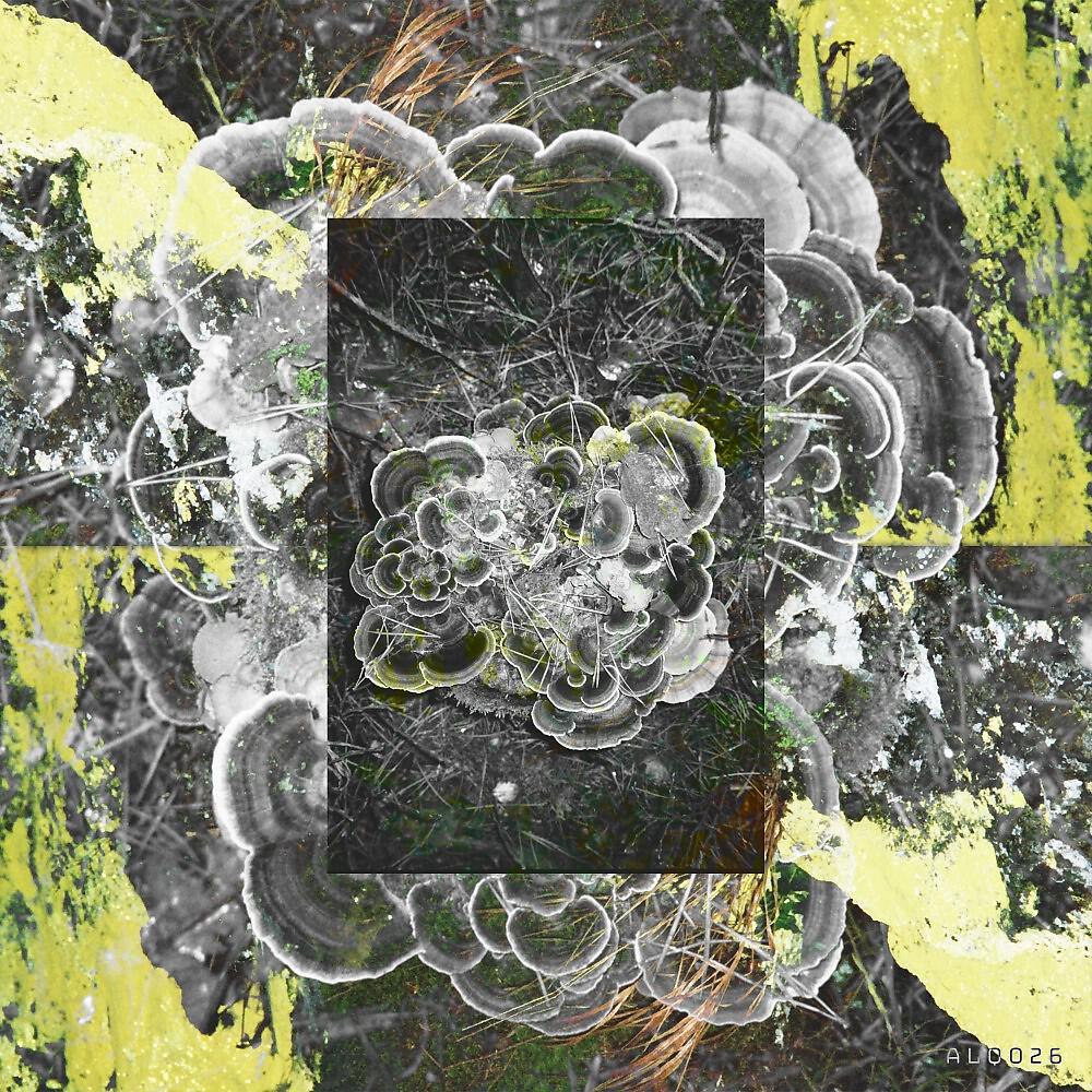 Релиз Layers I