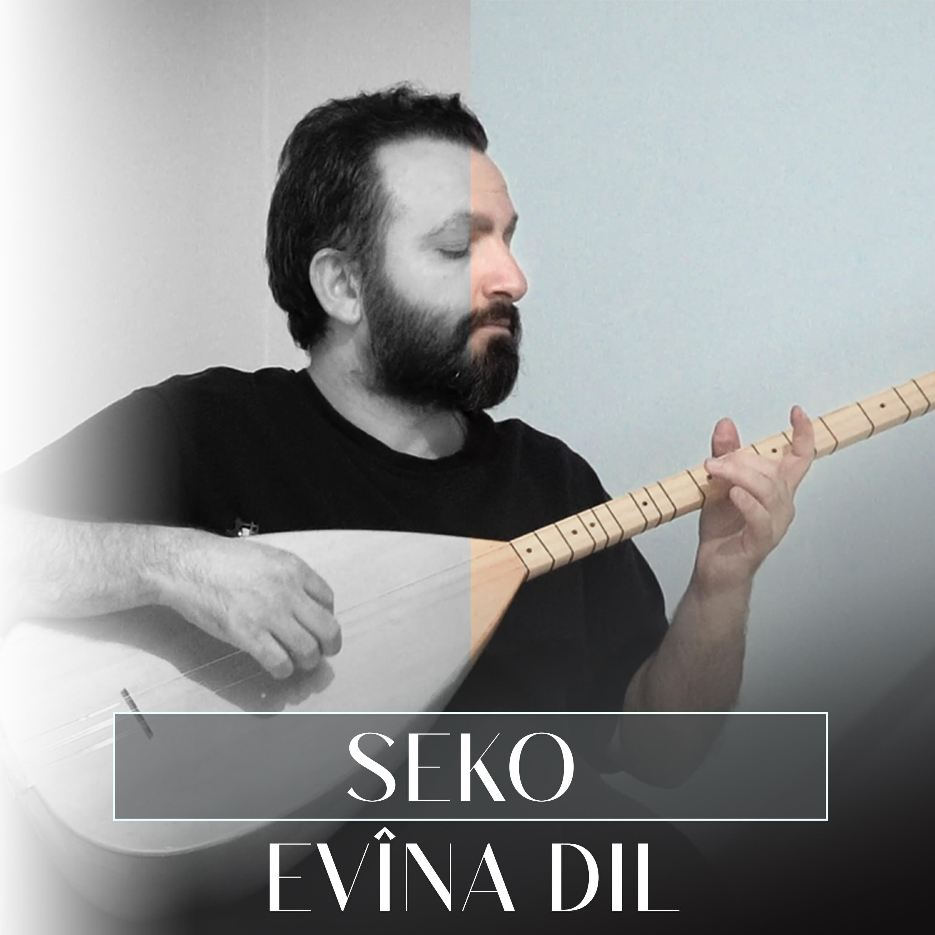 Постер альбома Evîna Dil