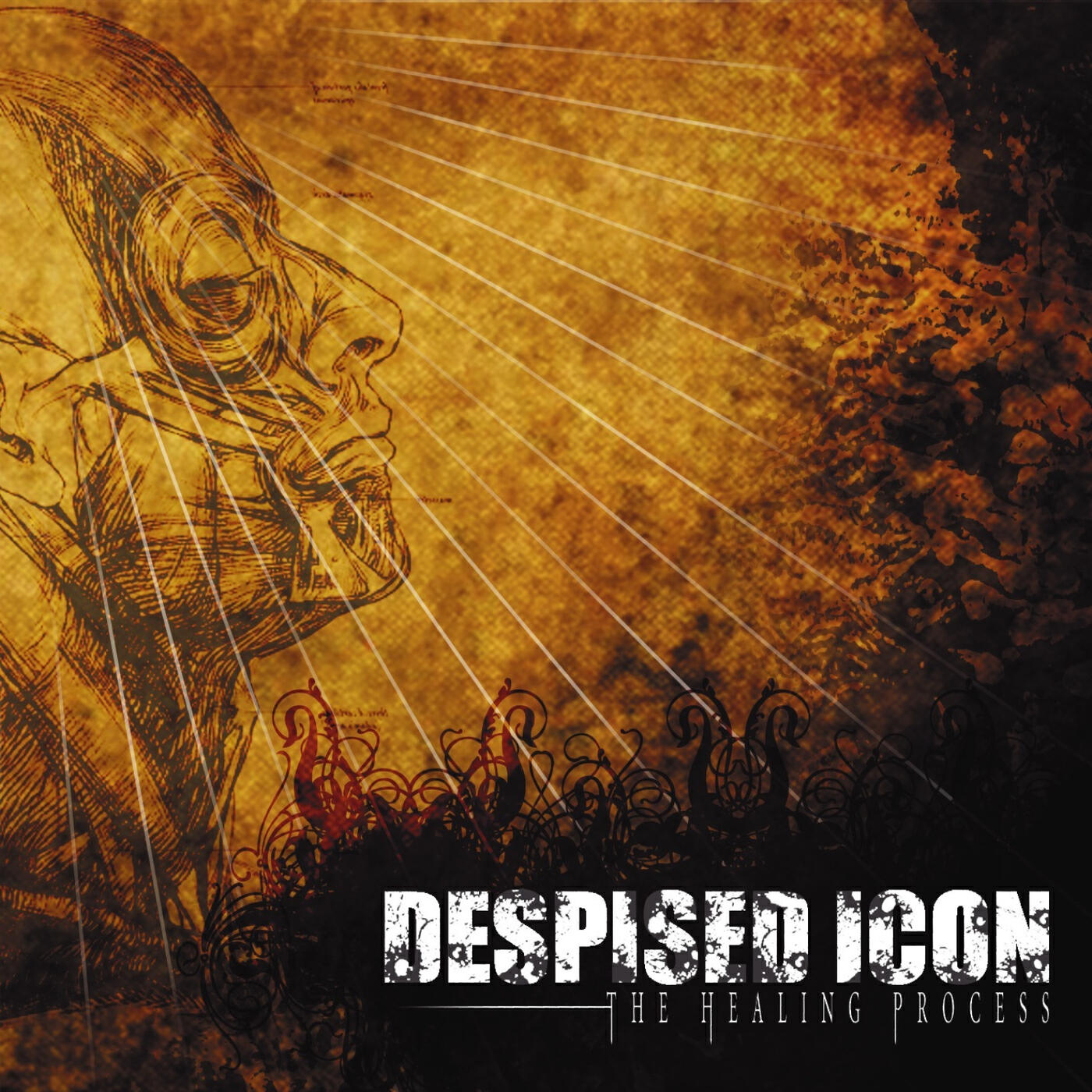 Релиз The Healing Process