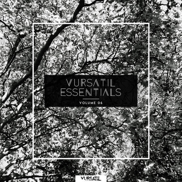 Релиз Vursatil Essentials 06