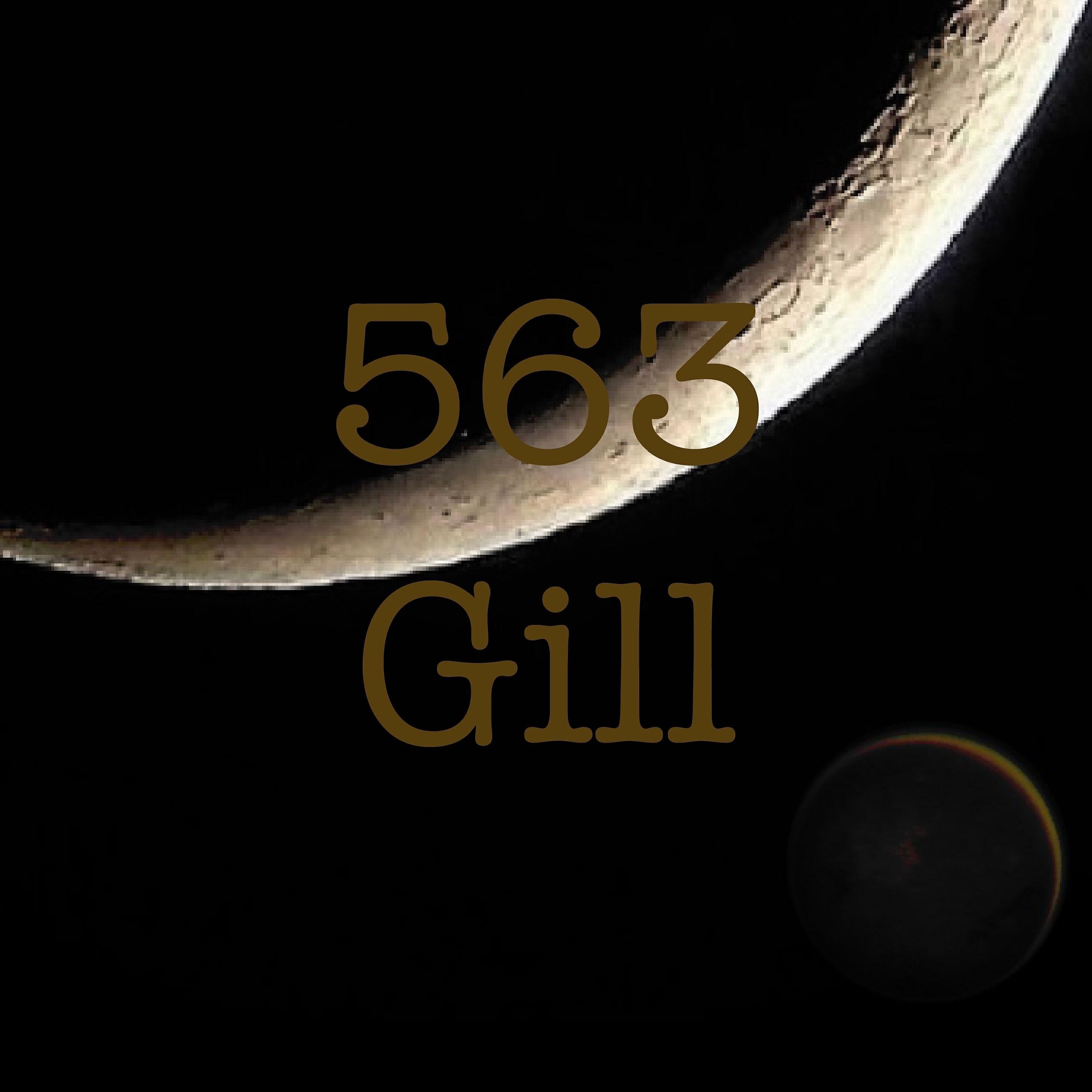 Релиз 563 Gill