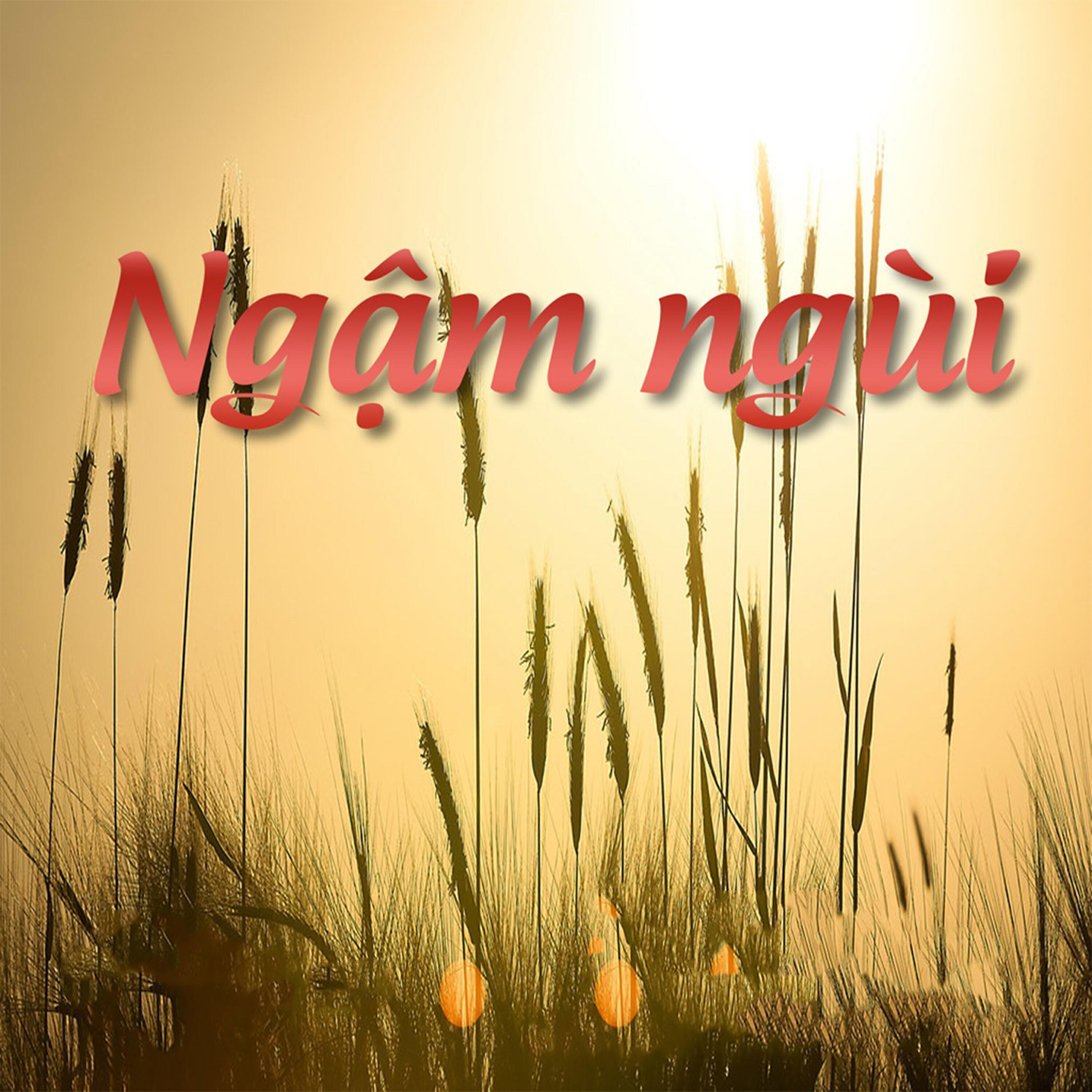 Релиз Ngậm Ngùi