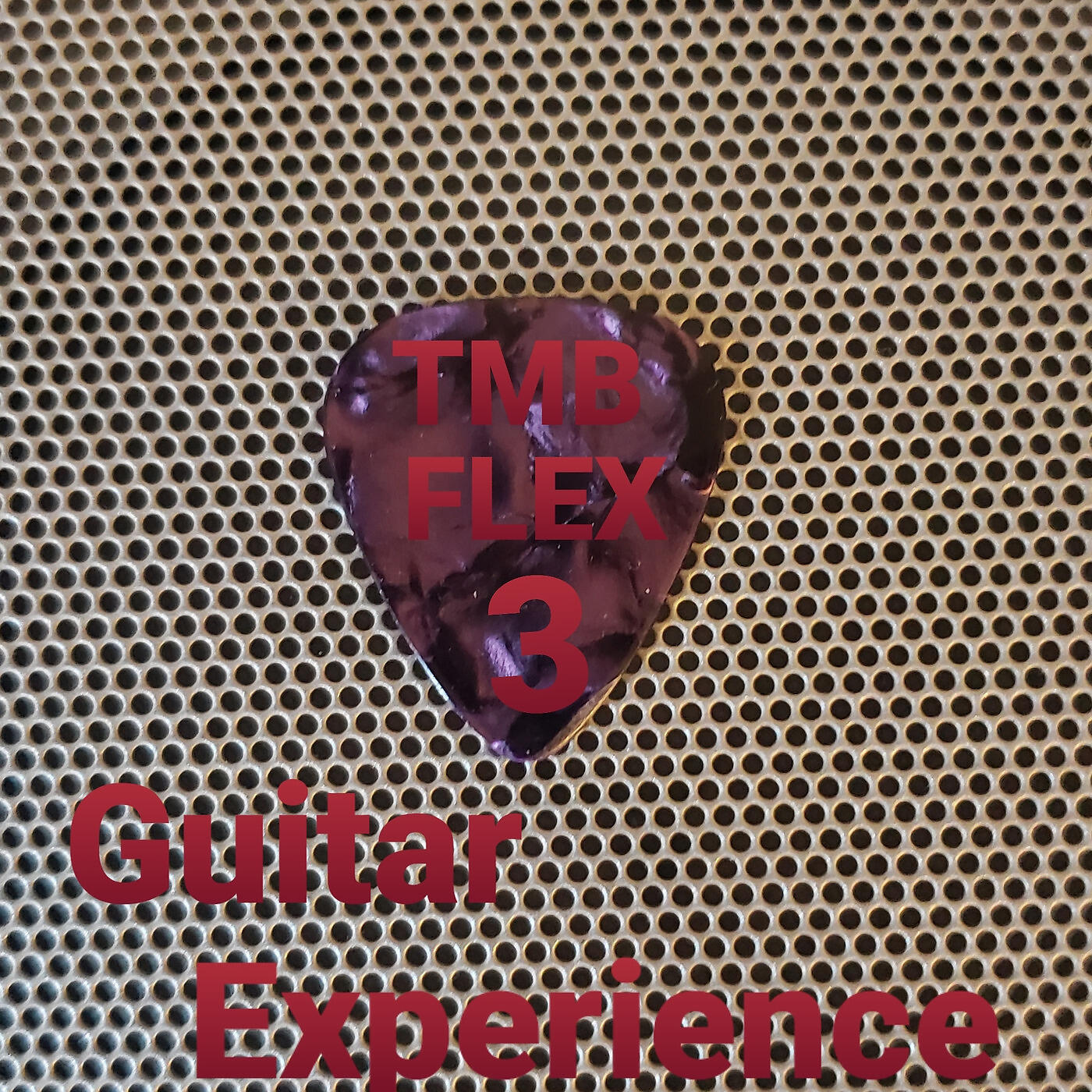 Релиз Flex 3 Guitar Experience