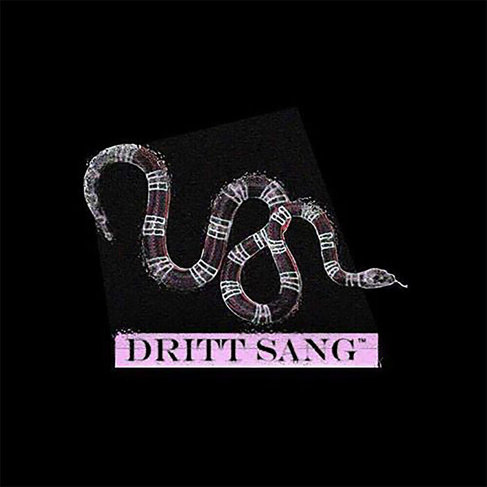 Релиз Dritt Sang