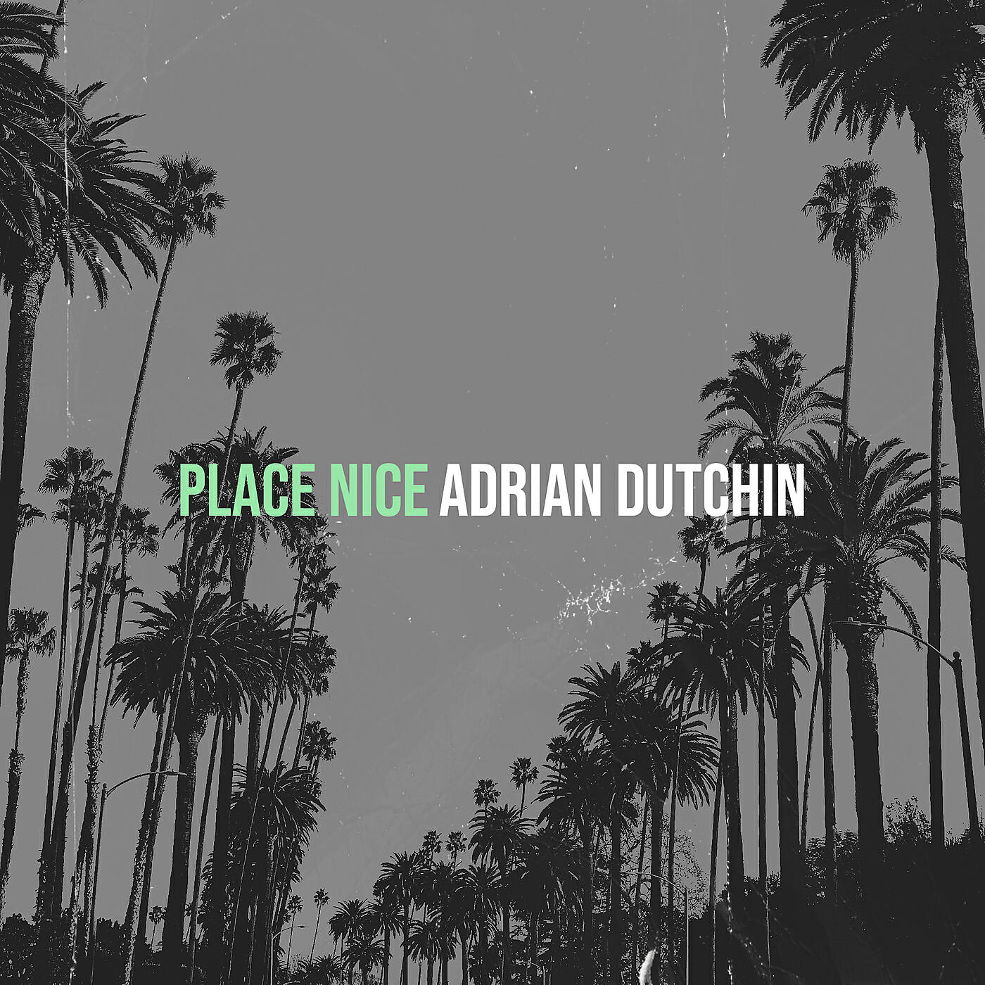 Релиз Place Nice