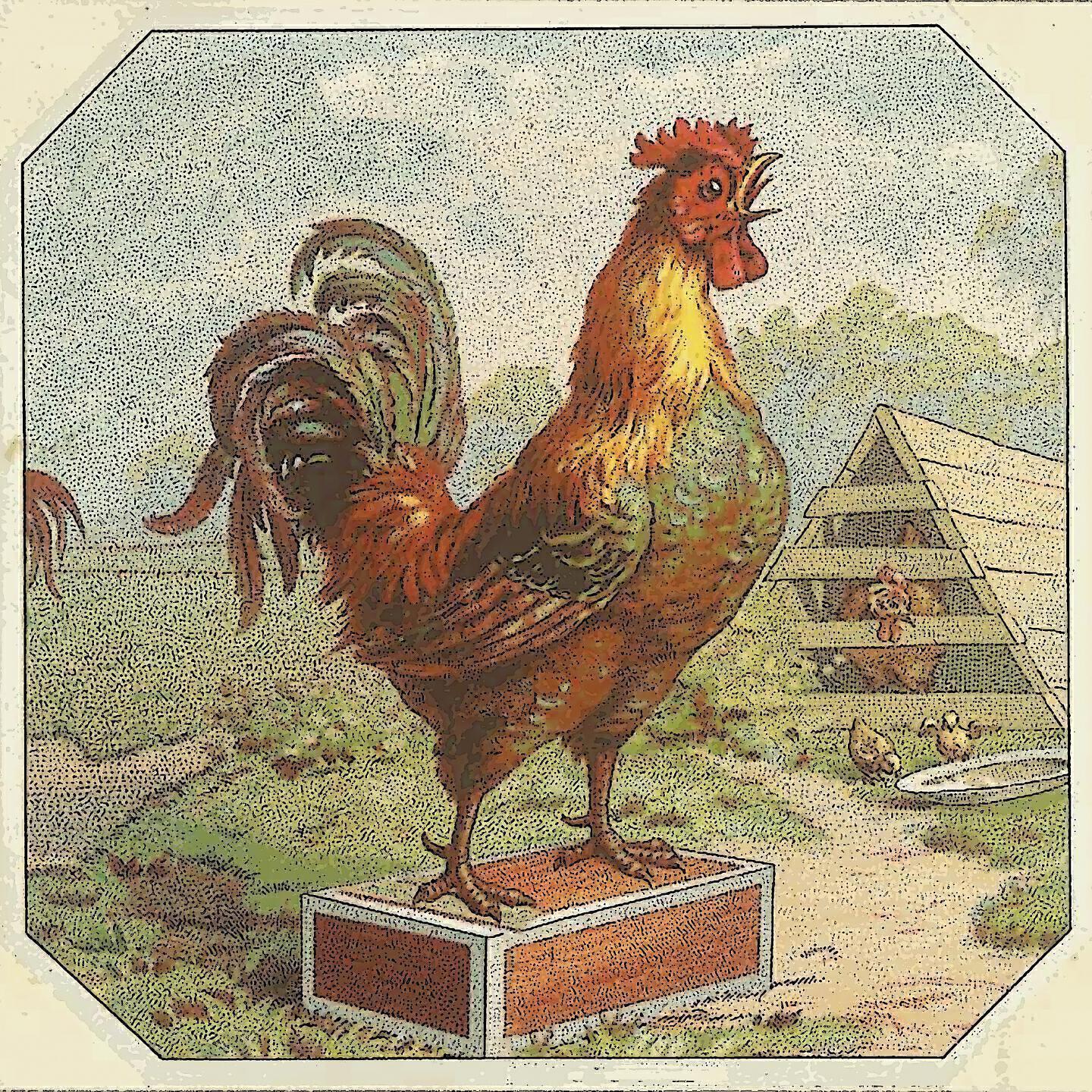 Herb & Lorraine Geller