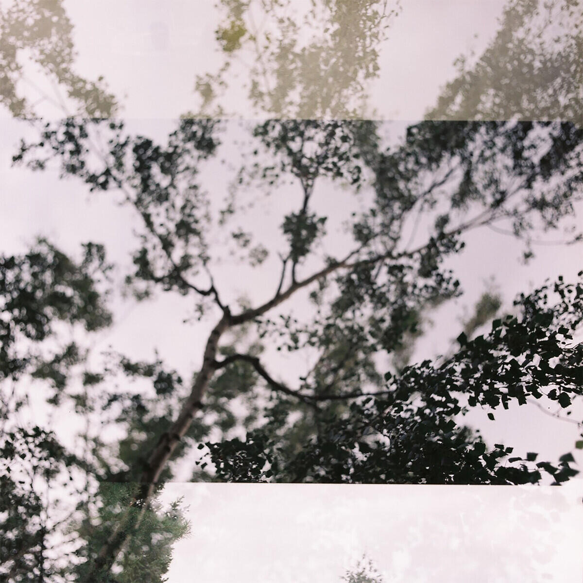 Релиз Past