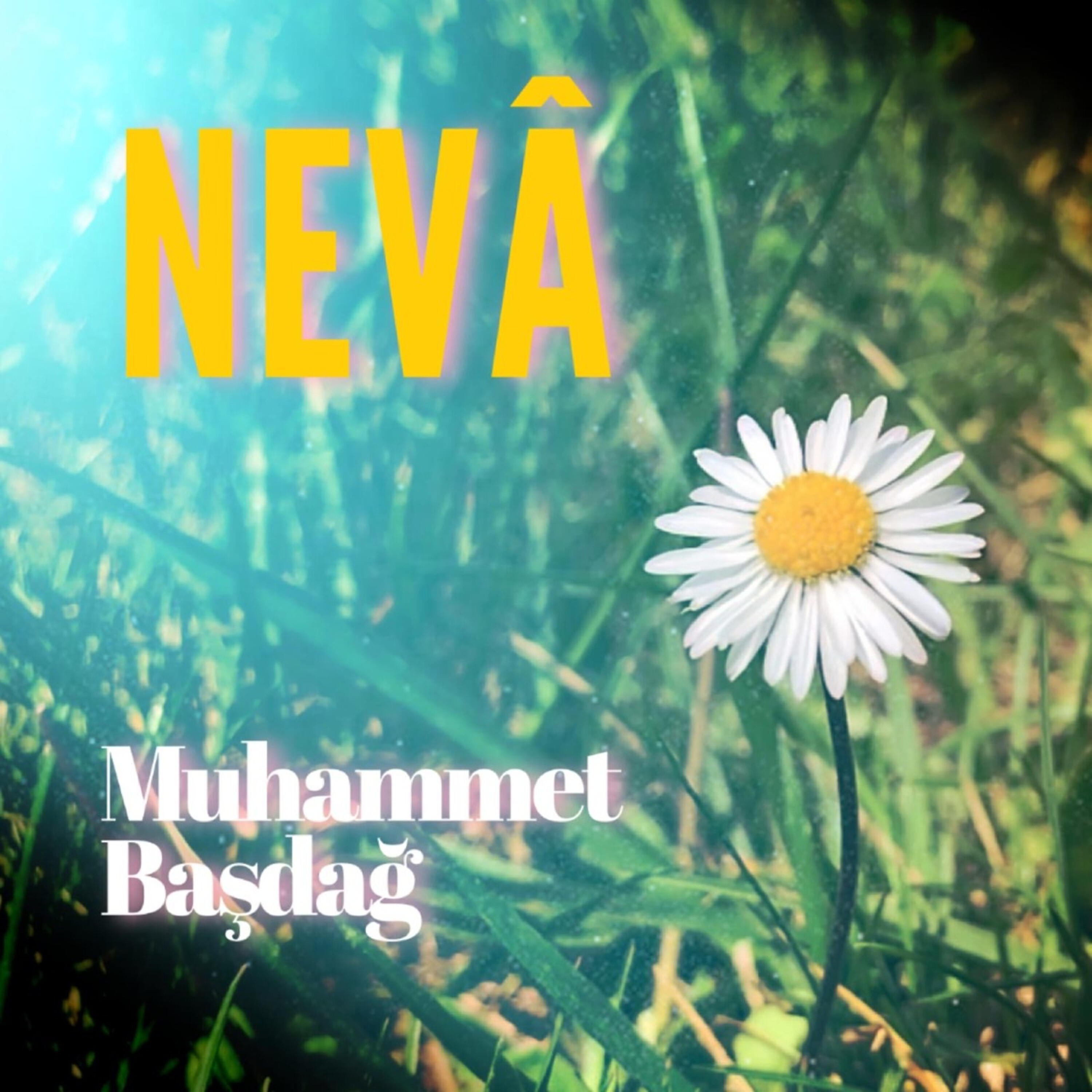 Релиз Neva