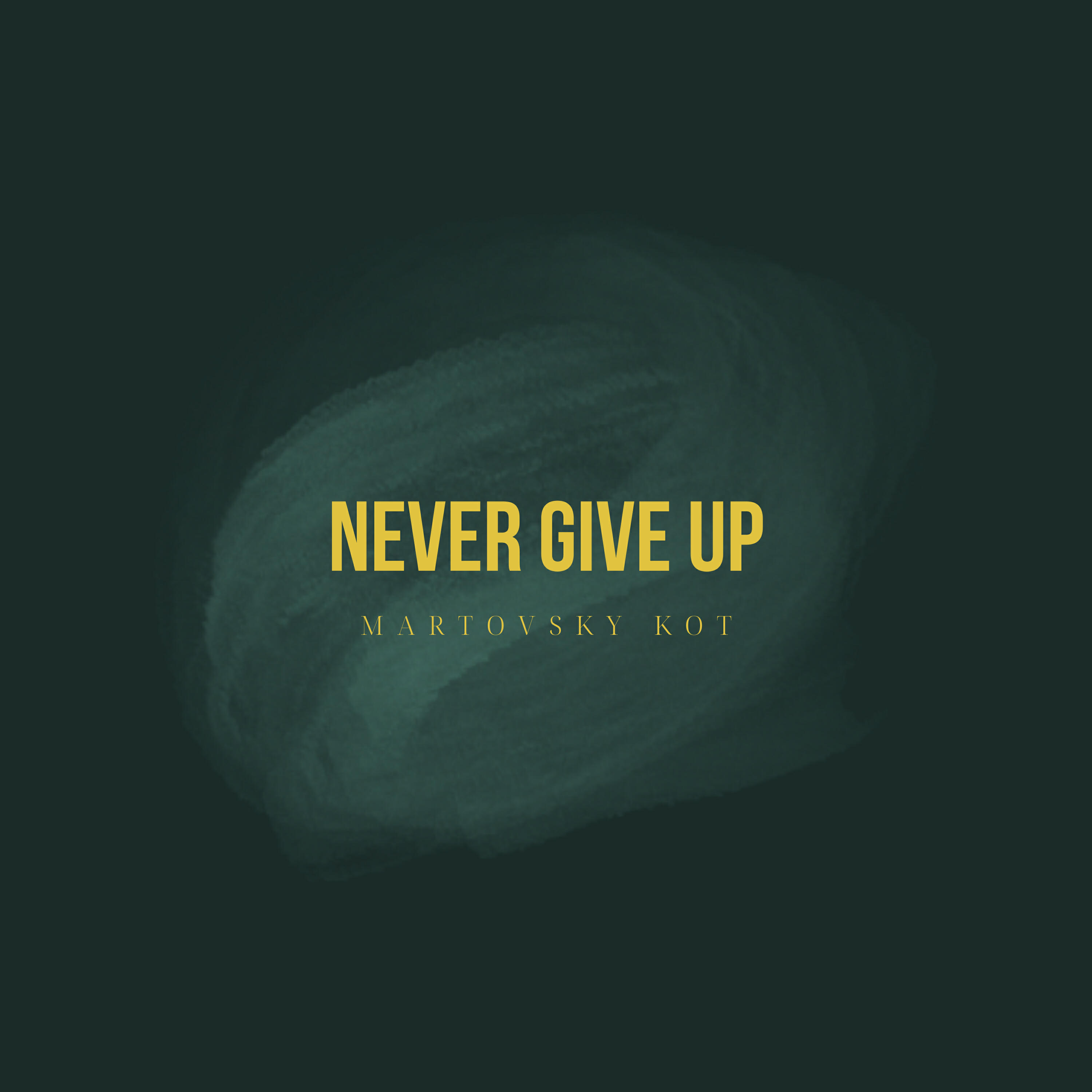 Релиз NEVER GIVE UP