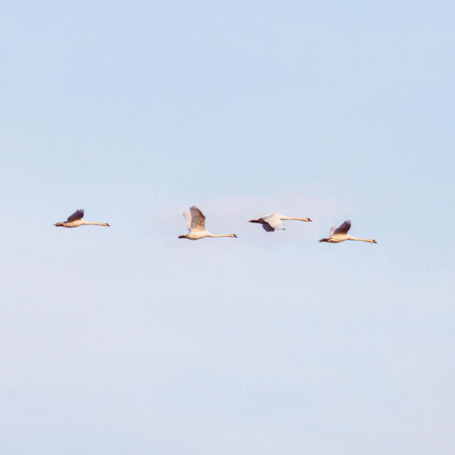 Релиз Returning