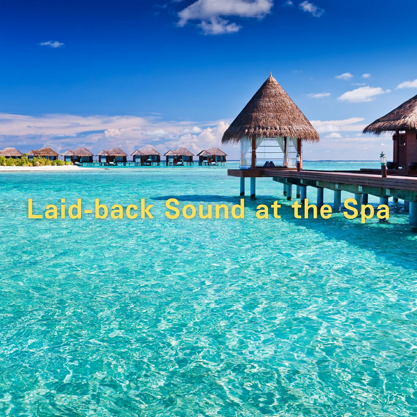 Постер альбома Laid-Back Sound at the Spa
