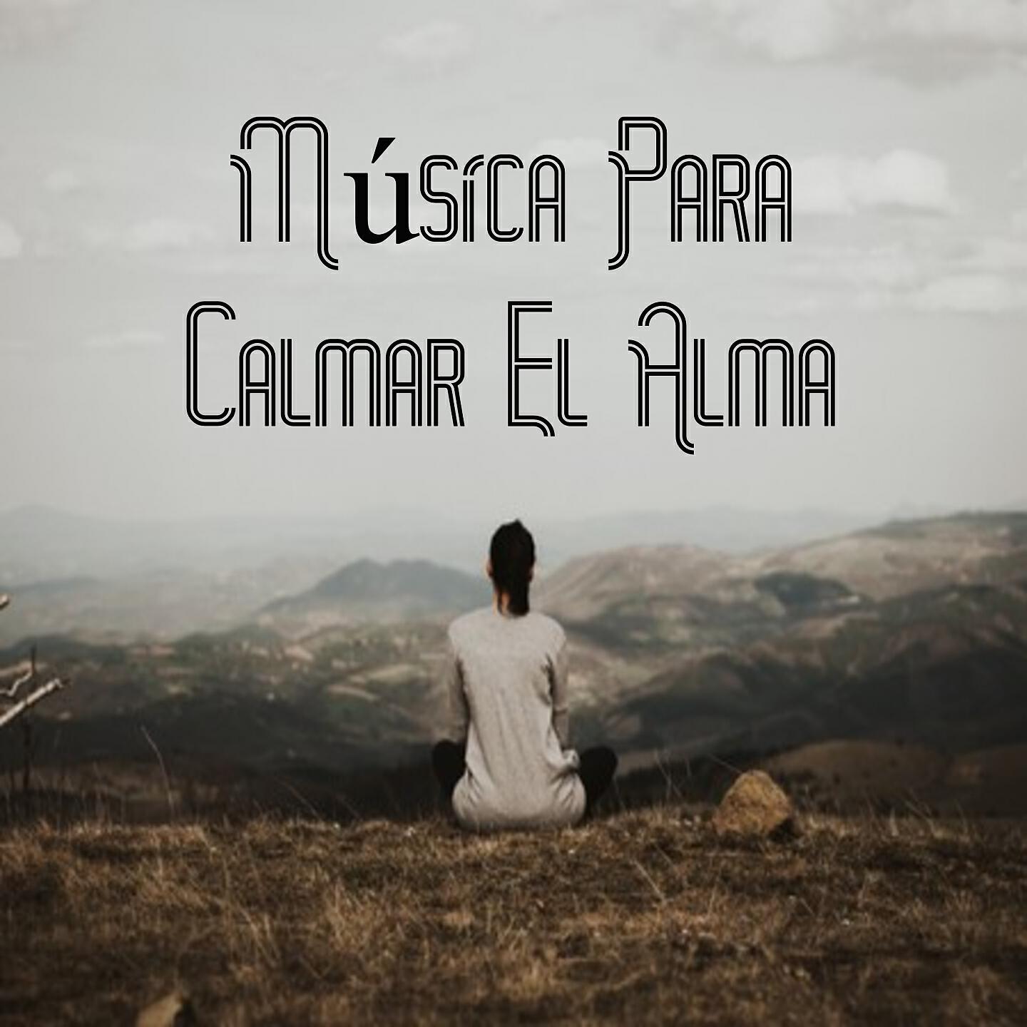 Релиз Música para Calmar el Alma