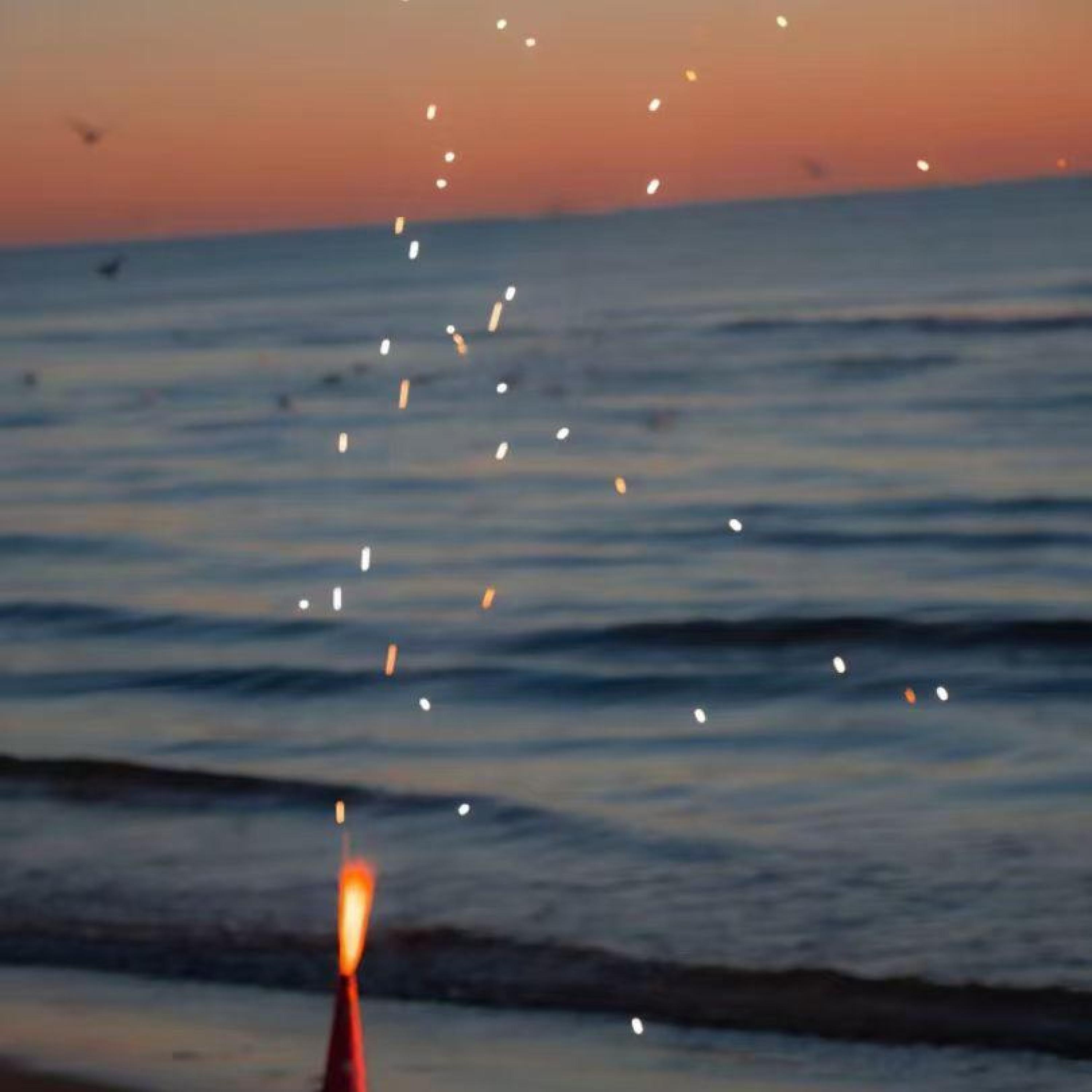 Релиз 柑橘日落海