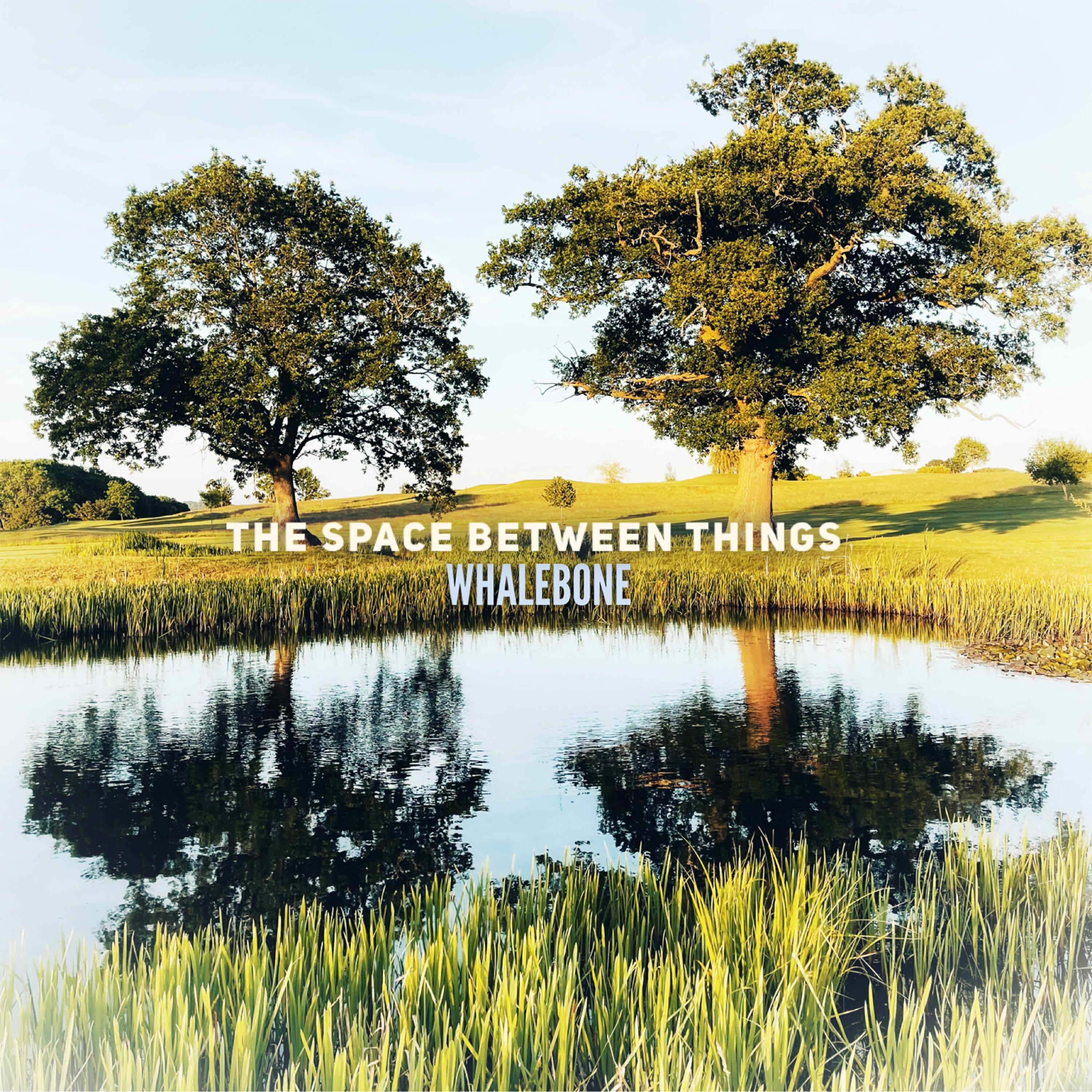 Релиз The Space Between Things
